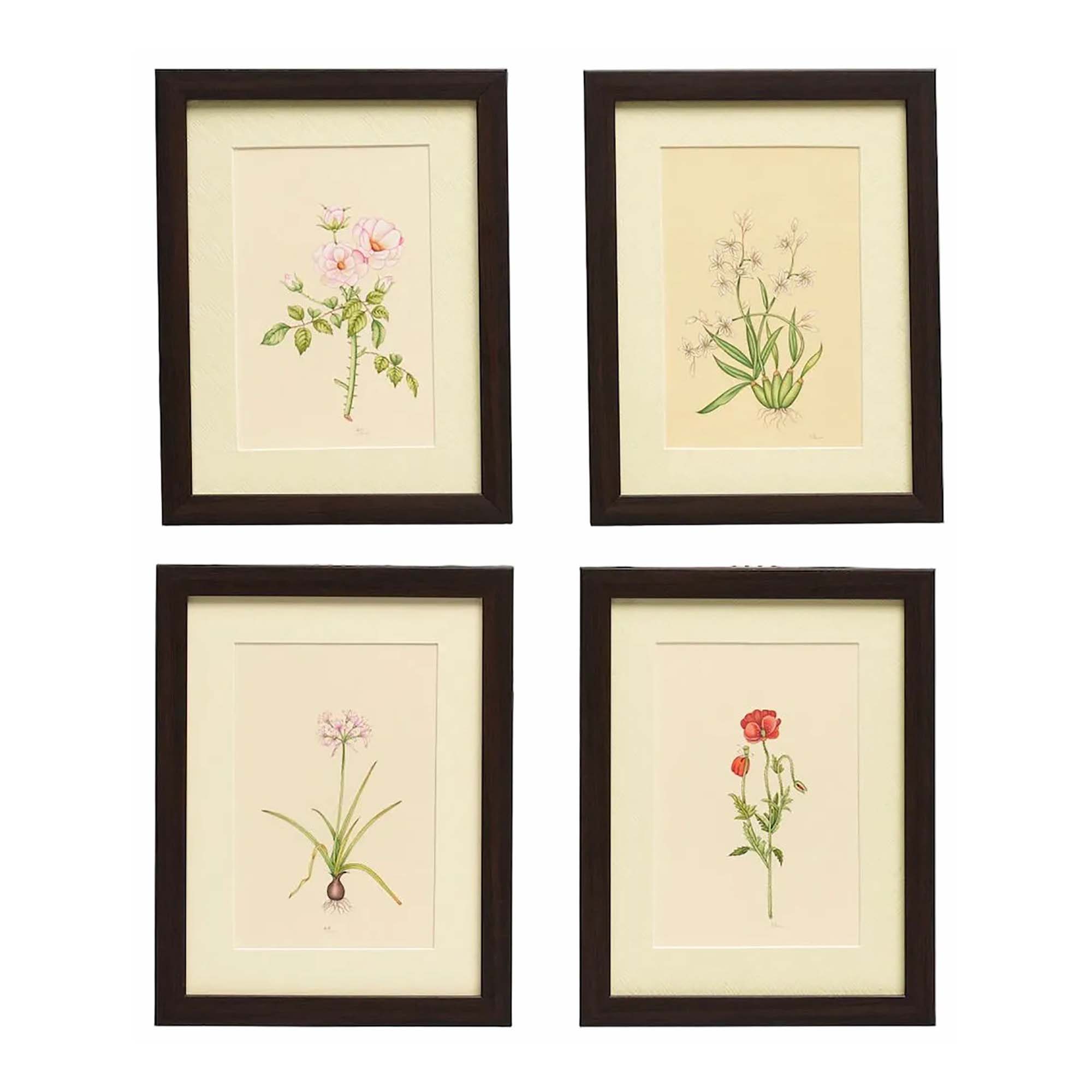 English Garden Prints - Original Hand Painted Flowers (set of 4)