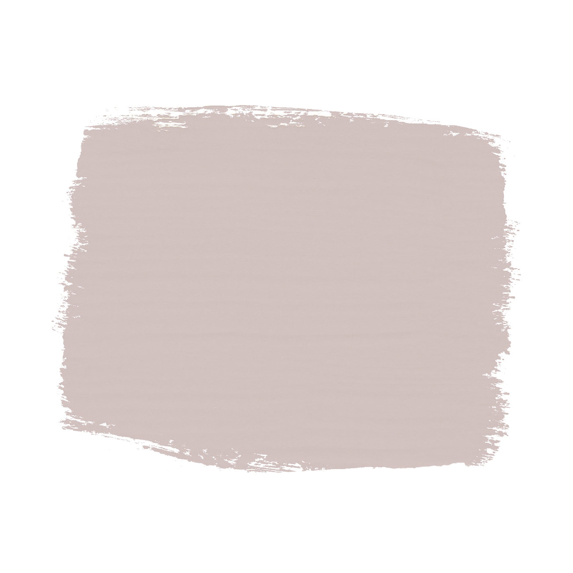 Paloma | Paint