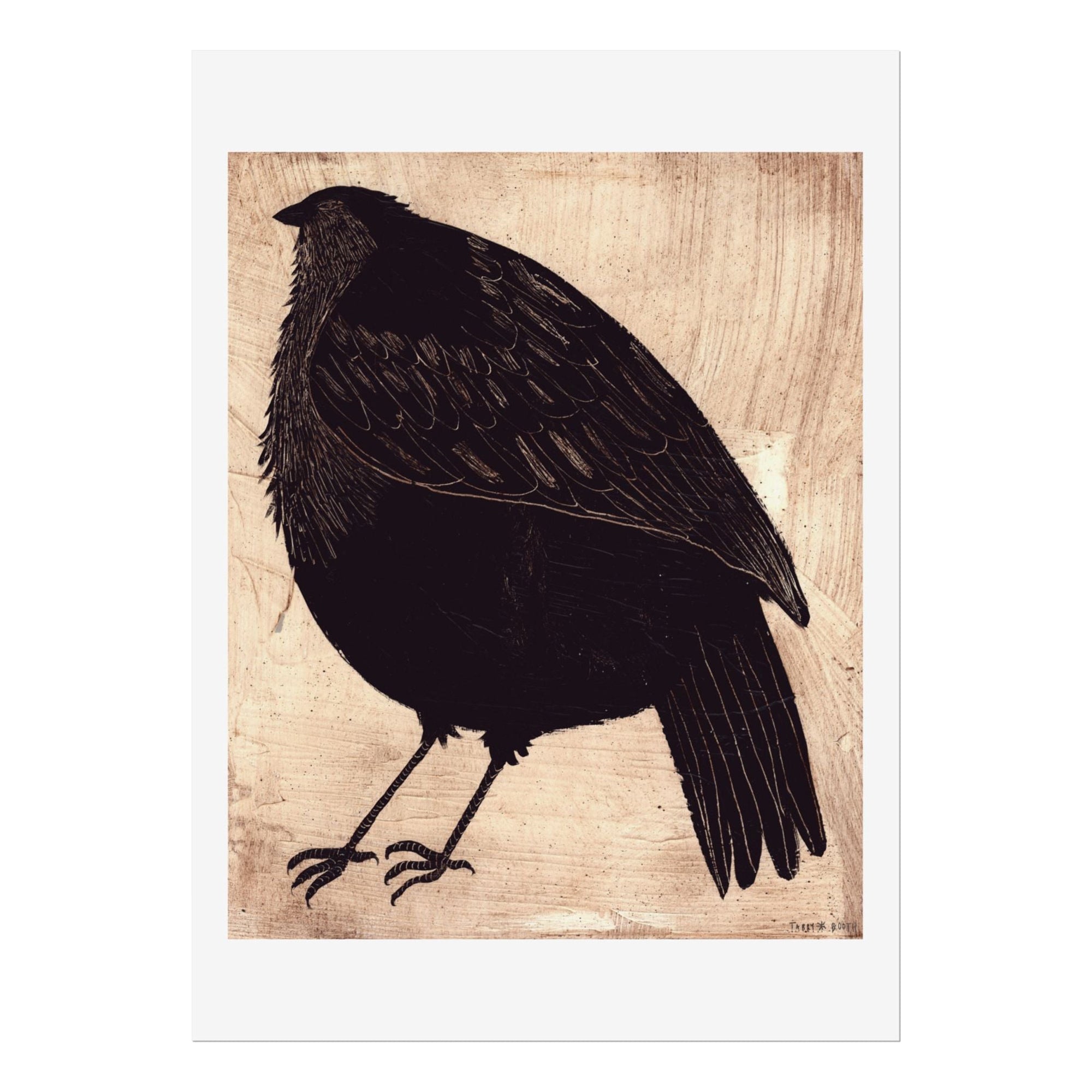 Sparrow Fine Art Print