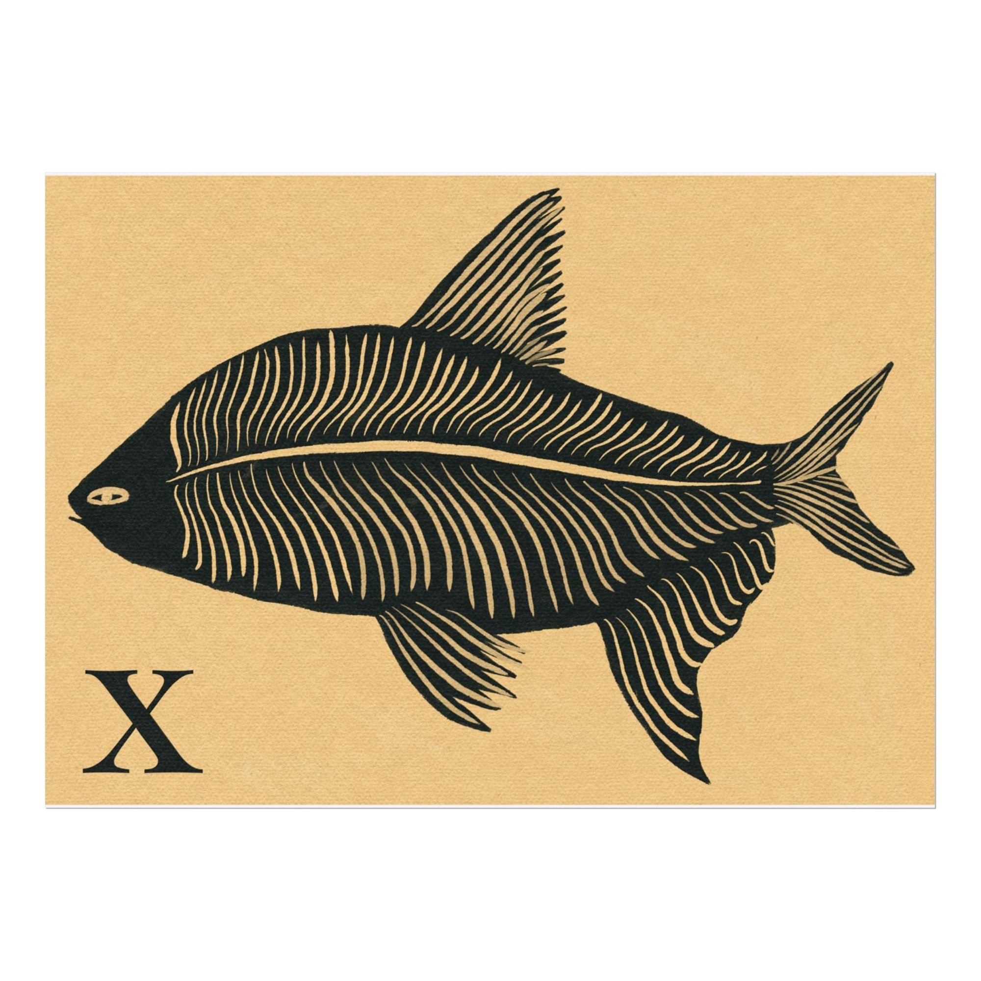 X for X-Ray Fish Print