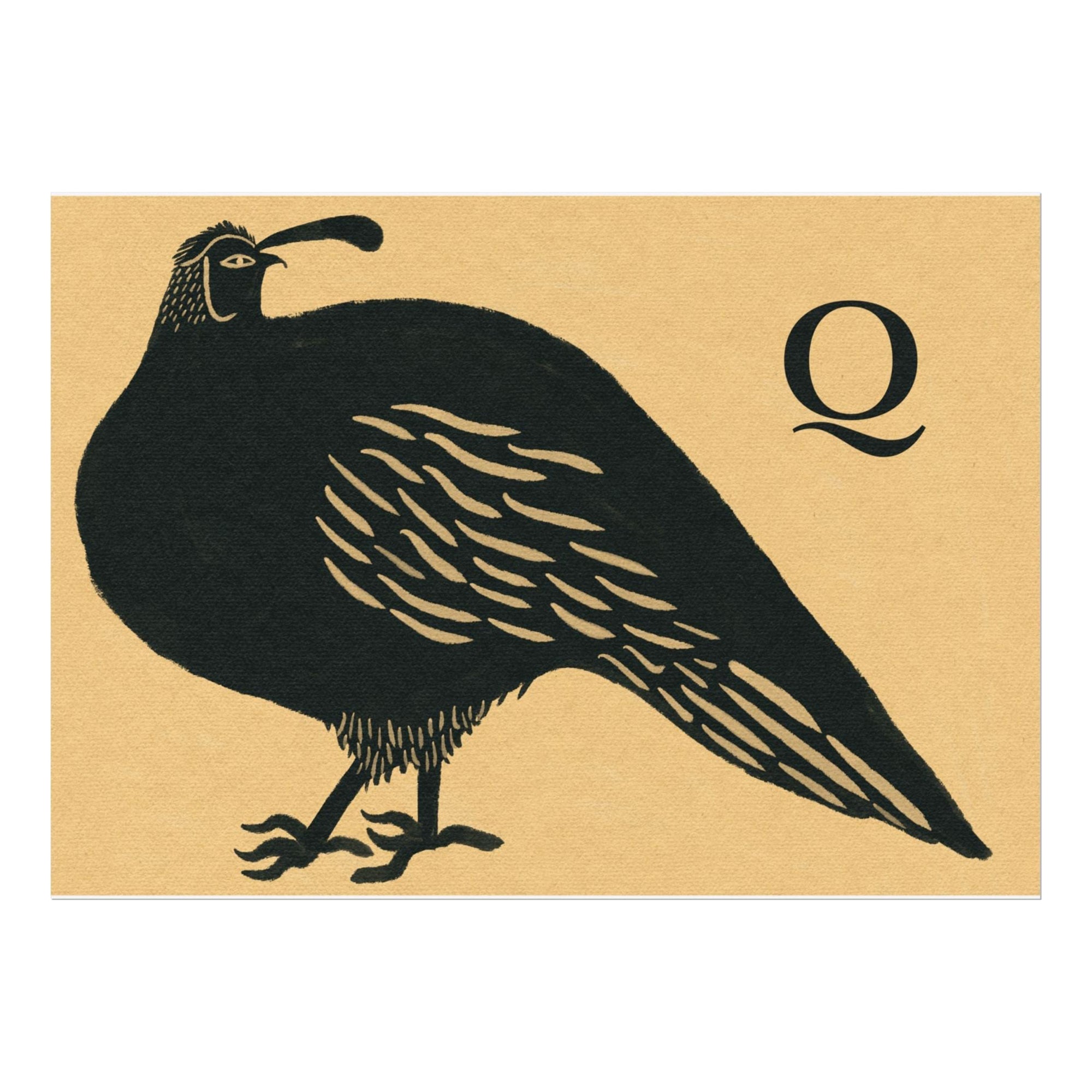 Q for Quail Print