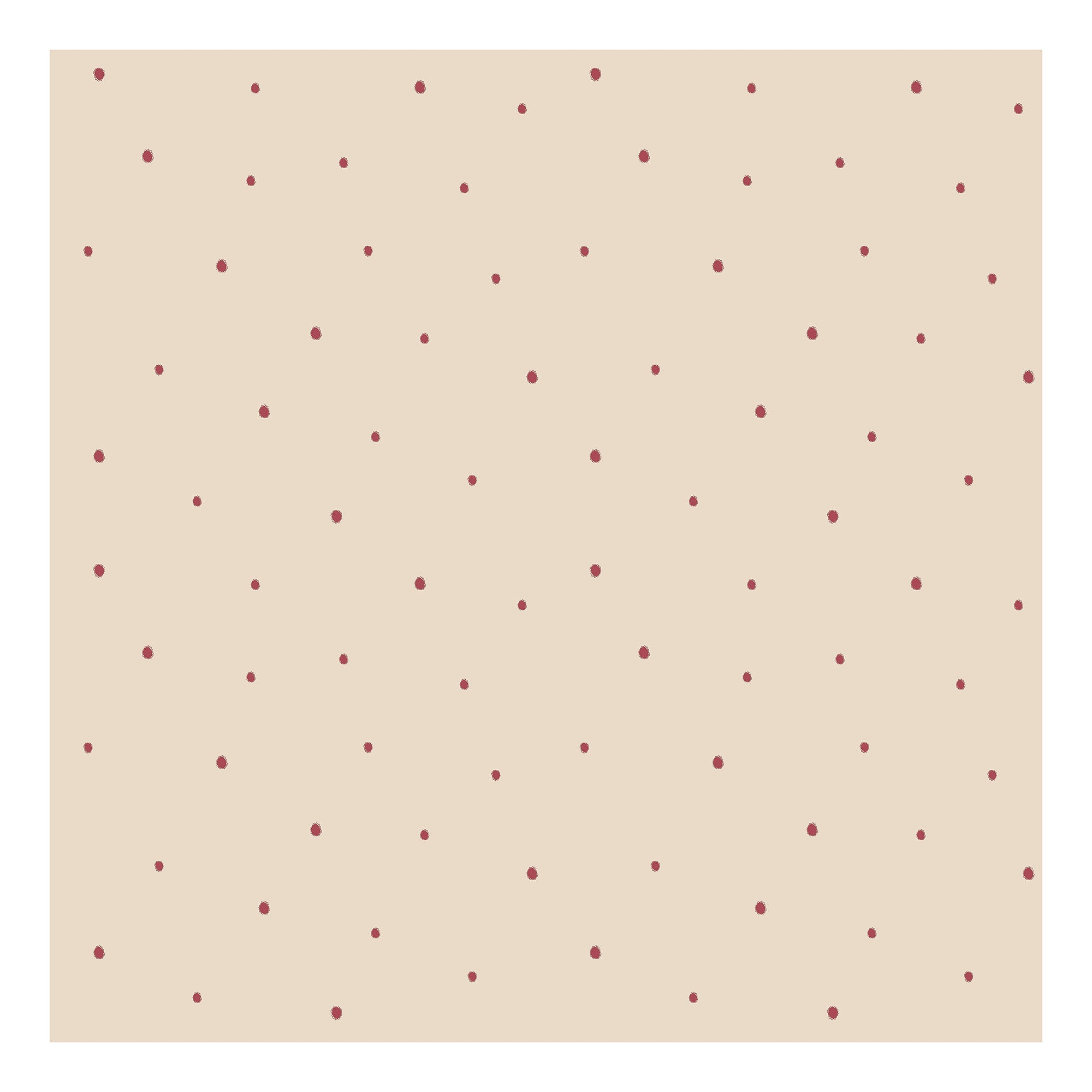 Dolce Daisies Wallpaper, Pavlova, Sample