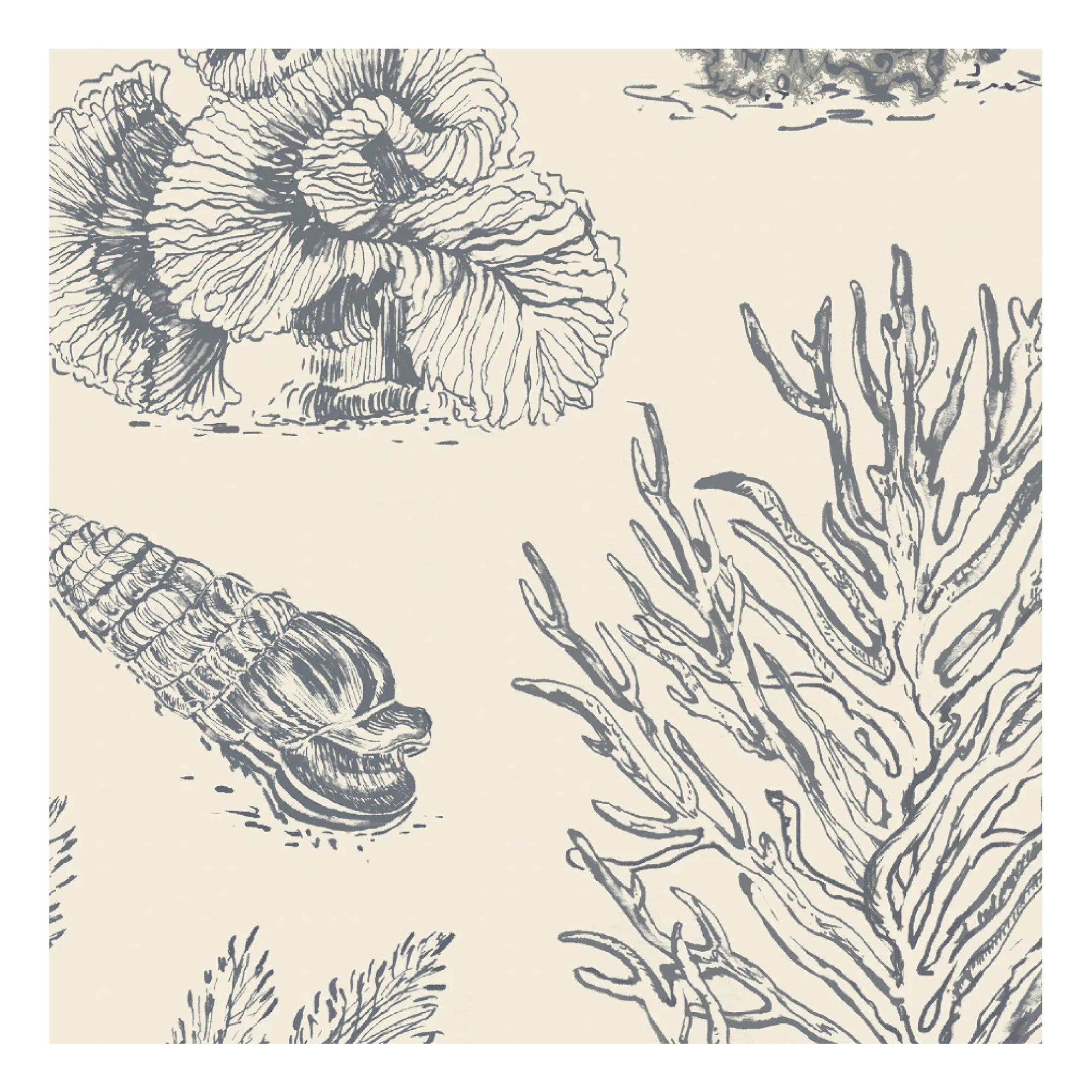 Coral Etchings Fabric - Charcoal