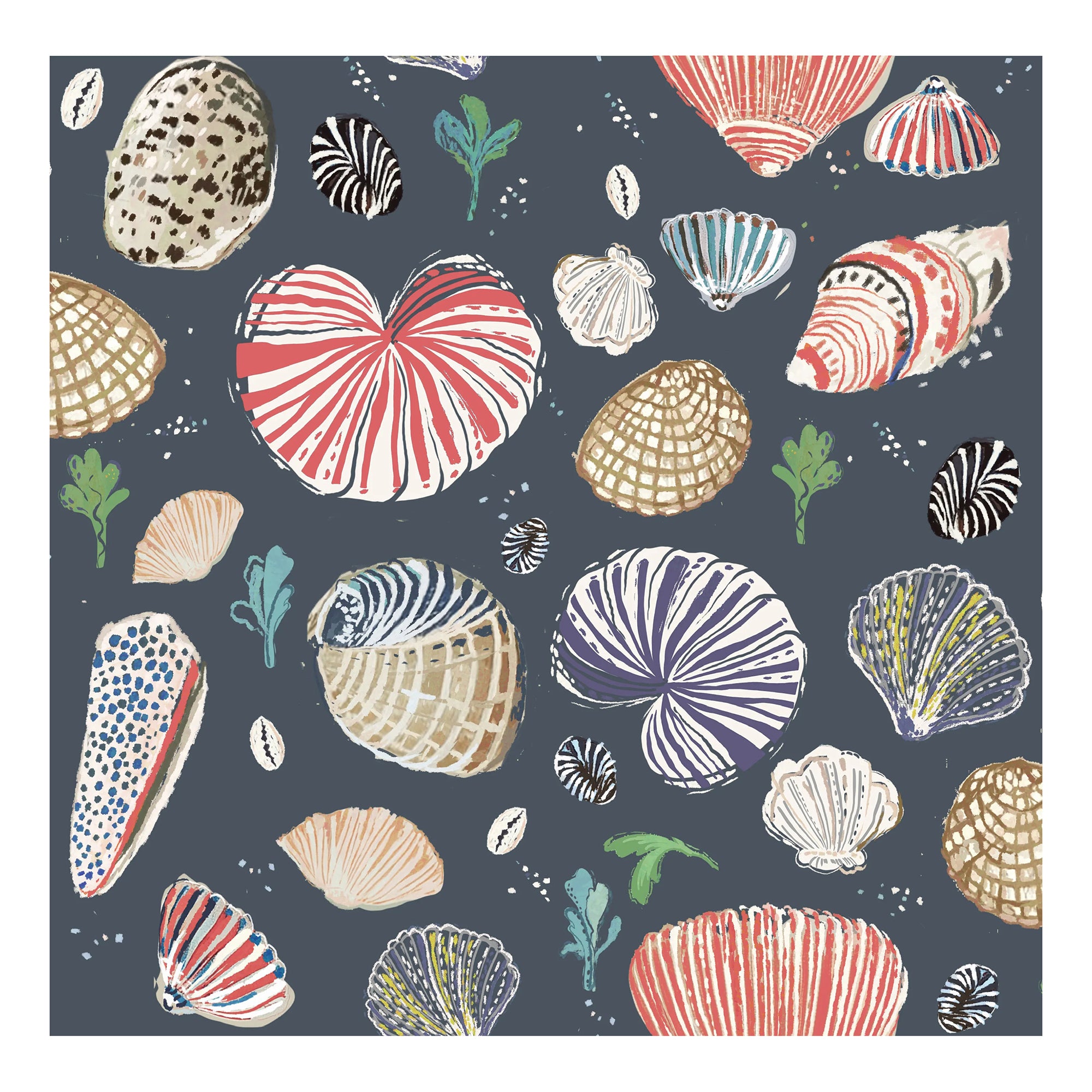 Little Nautilus Fabric - Navy