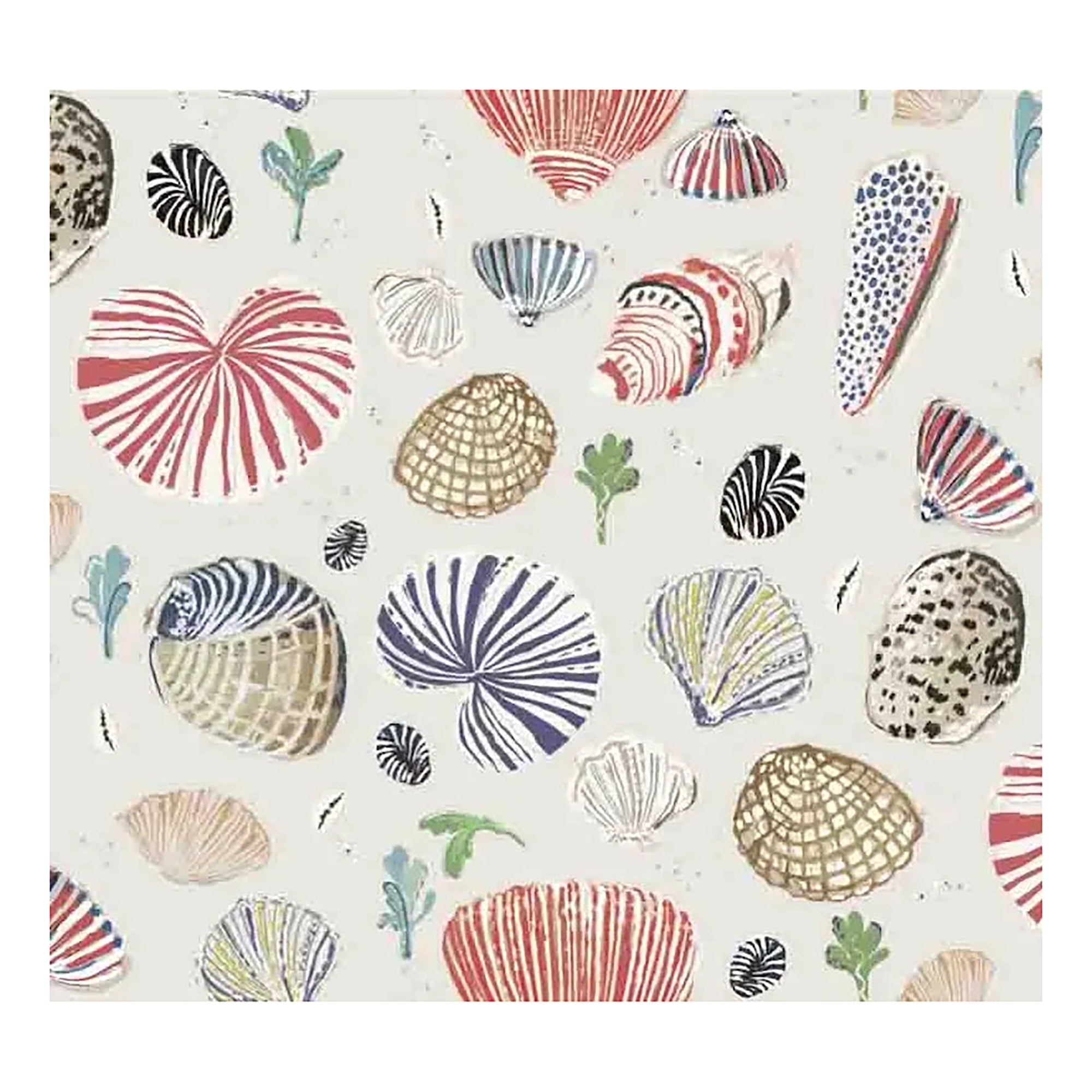 Little Nautilus Fabric - Sand