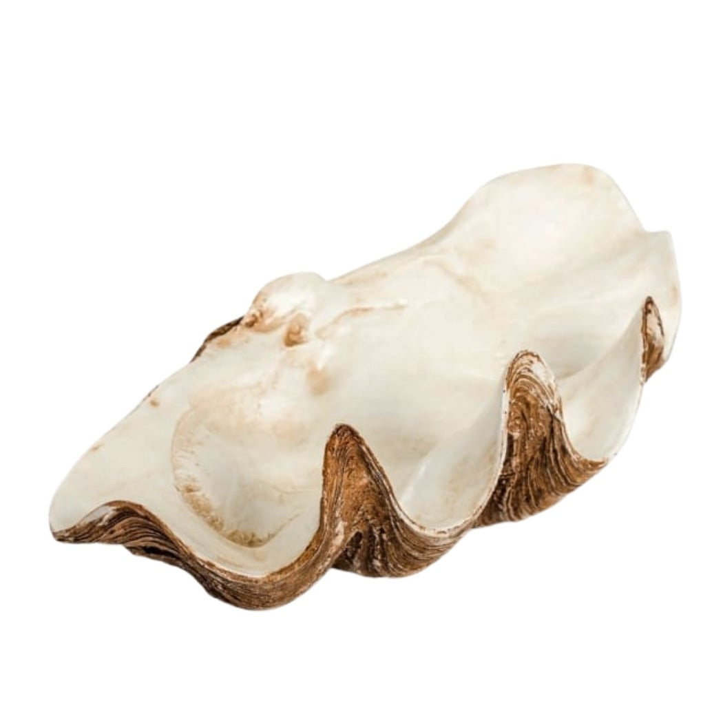 Marina Shell Bowl | Pearl