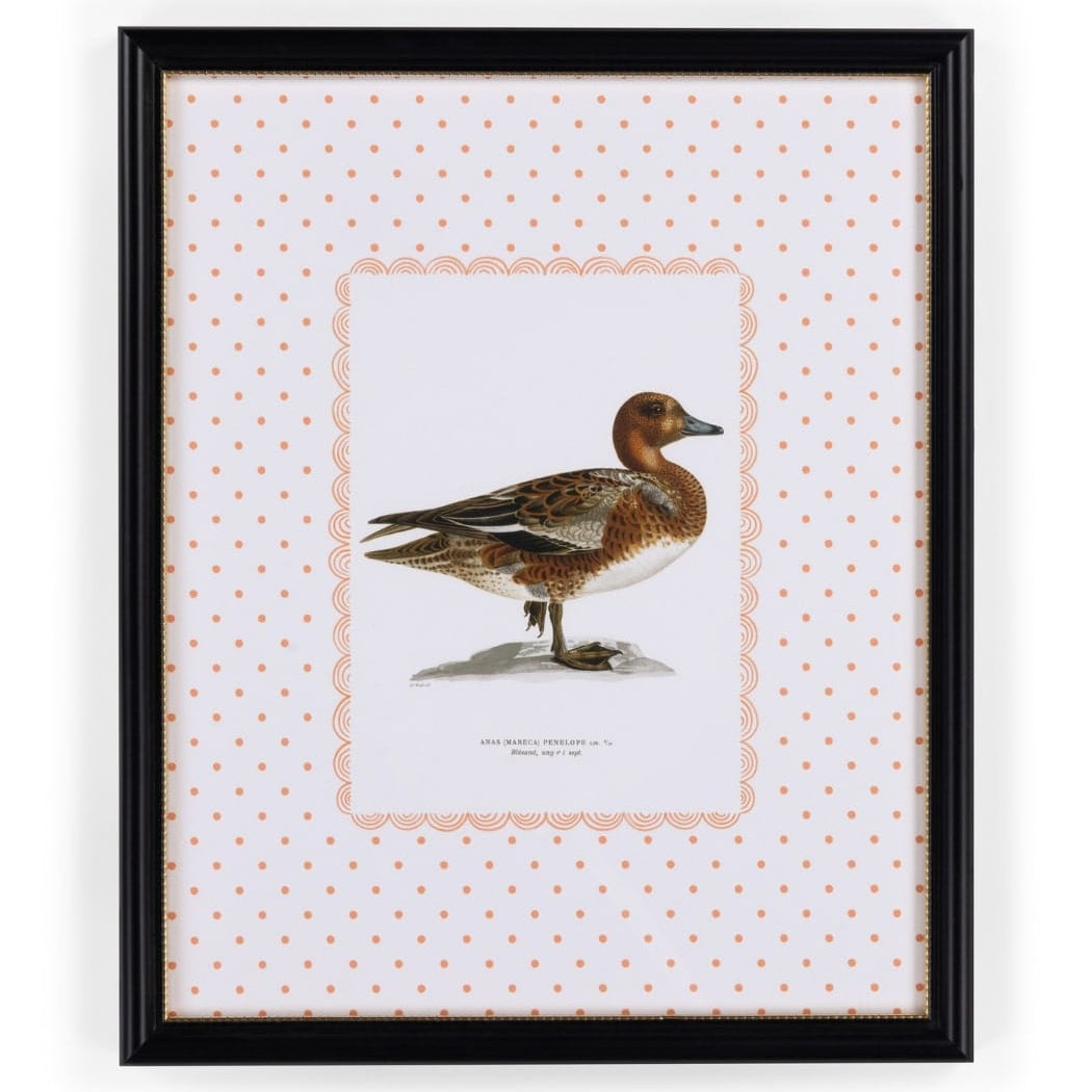 Duck I Vintage-Style Framed Print
