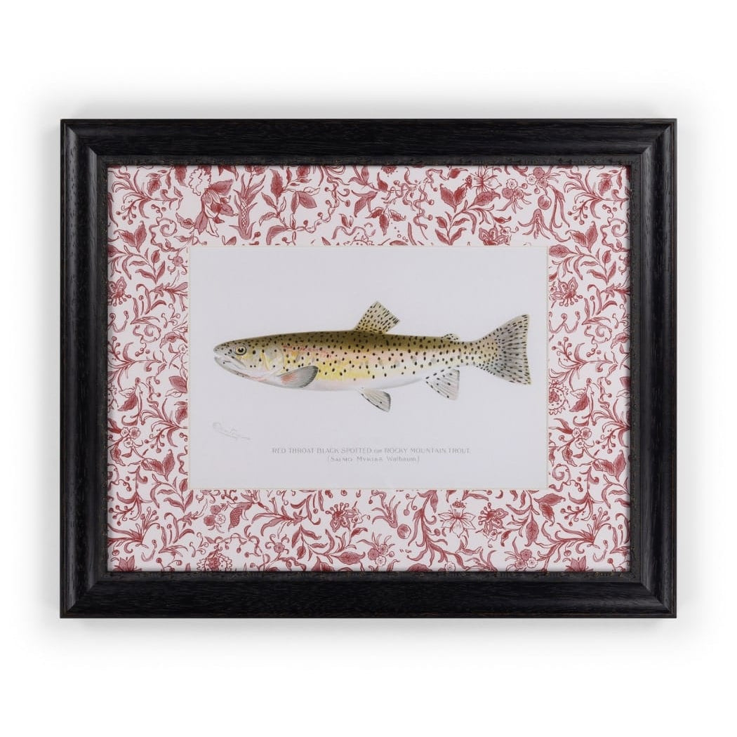 Fish II Vintage-Styled Framed Print