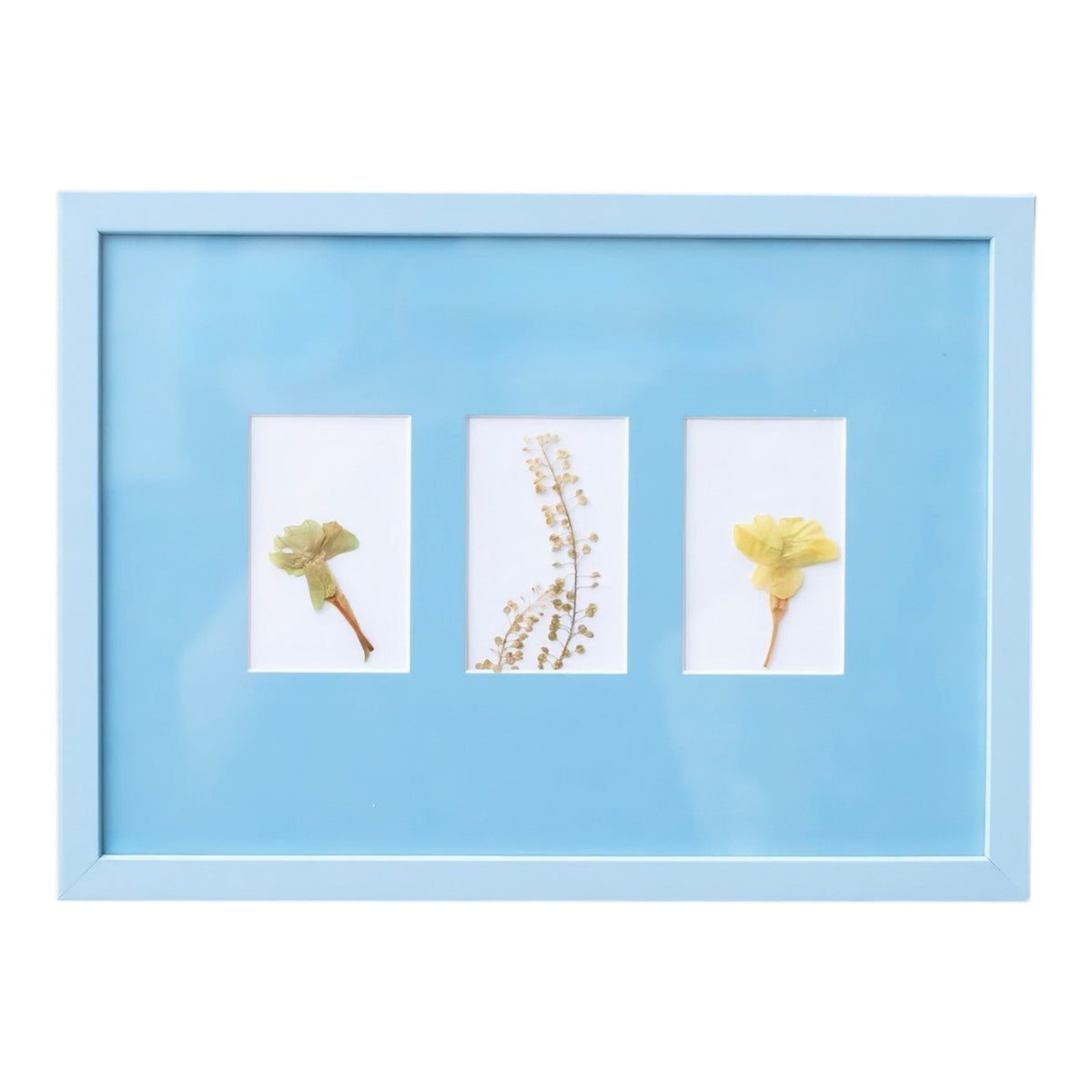 Sky Blue A4 Instax Mini x 3 Picture Mount