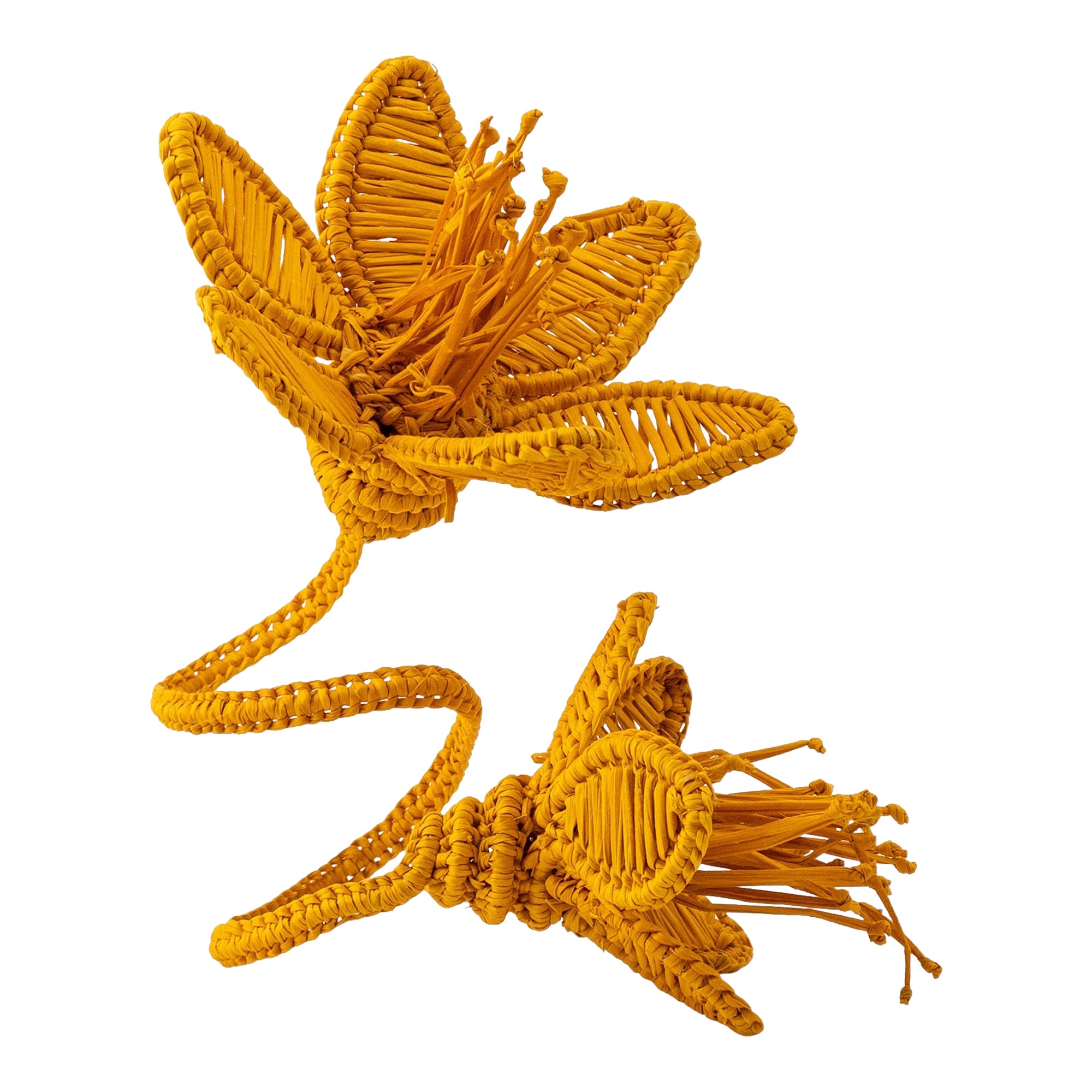 Florencia Napkin Ring Mustard