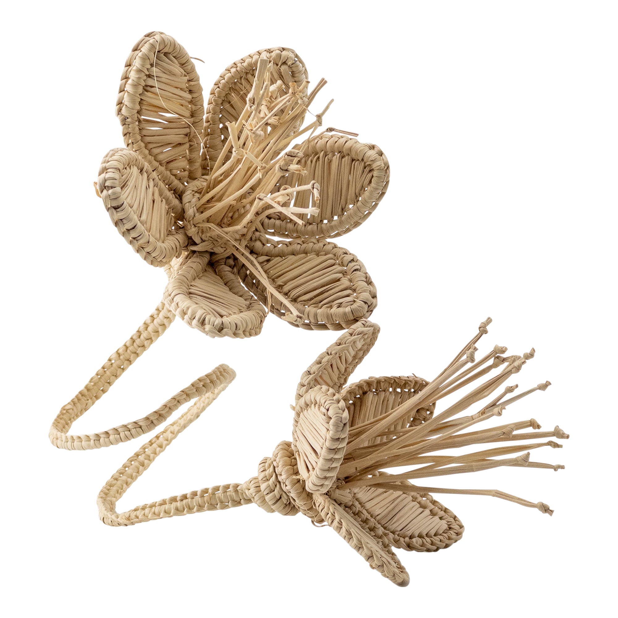 Florencia Napkin Ring Natural