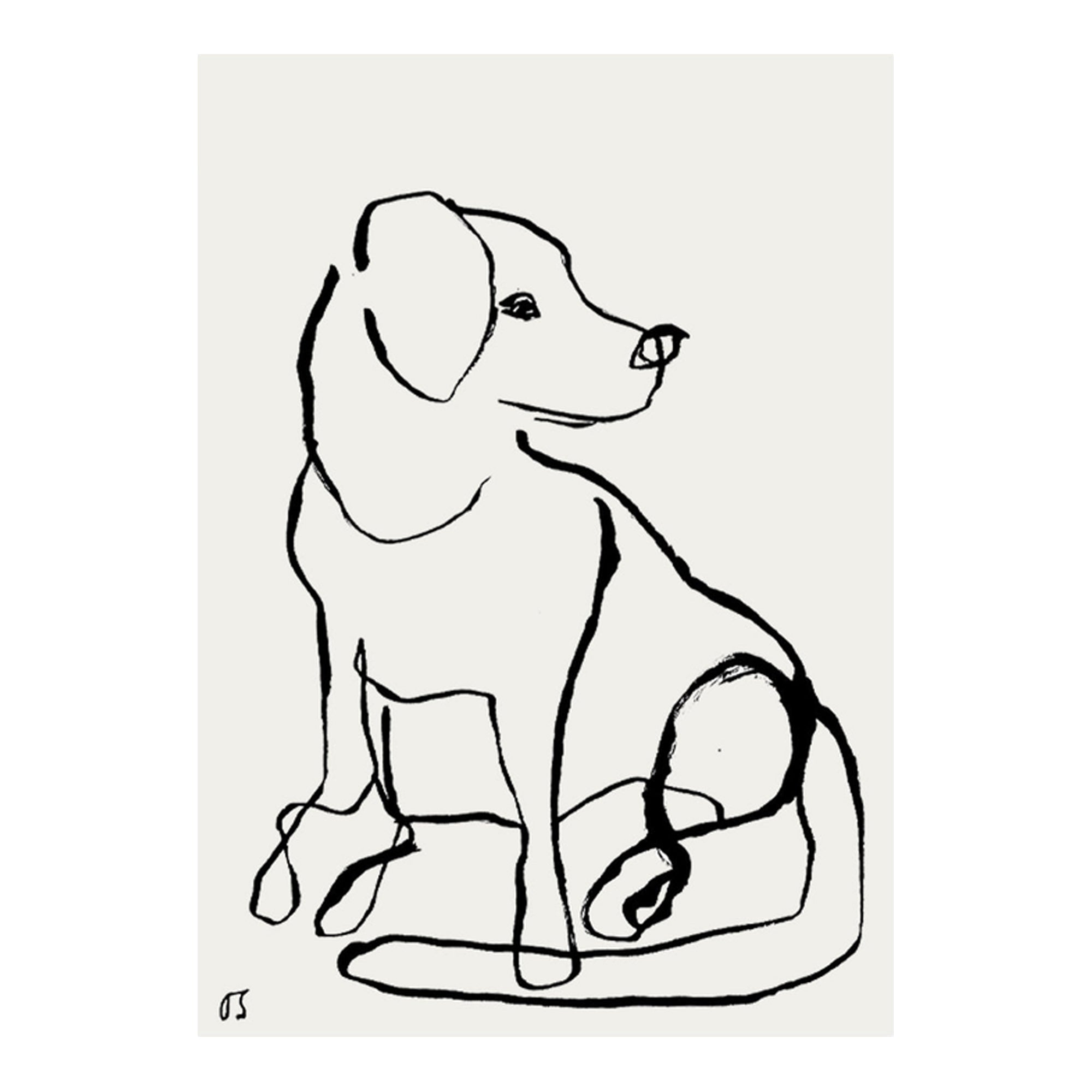 The Labrador
