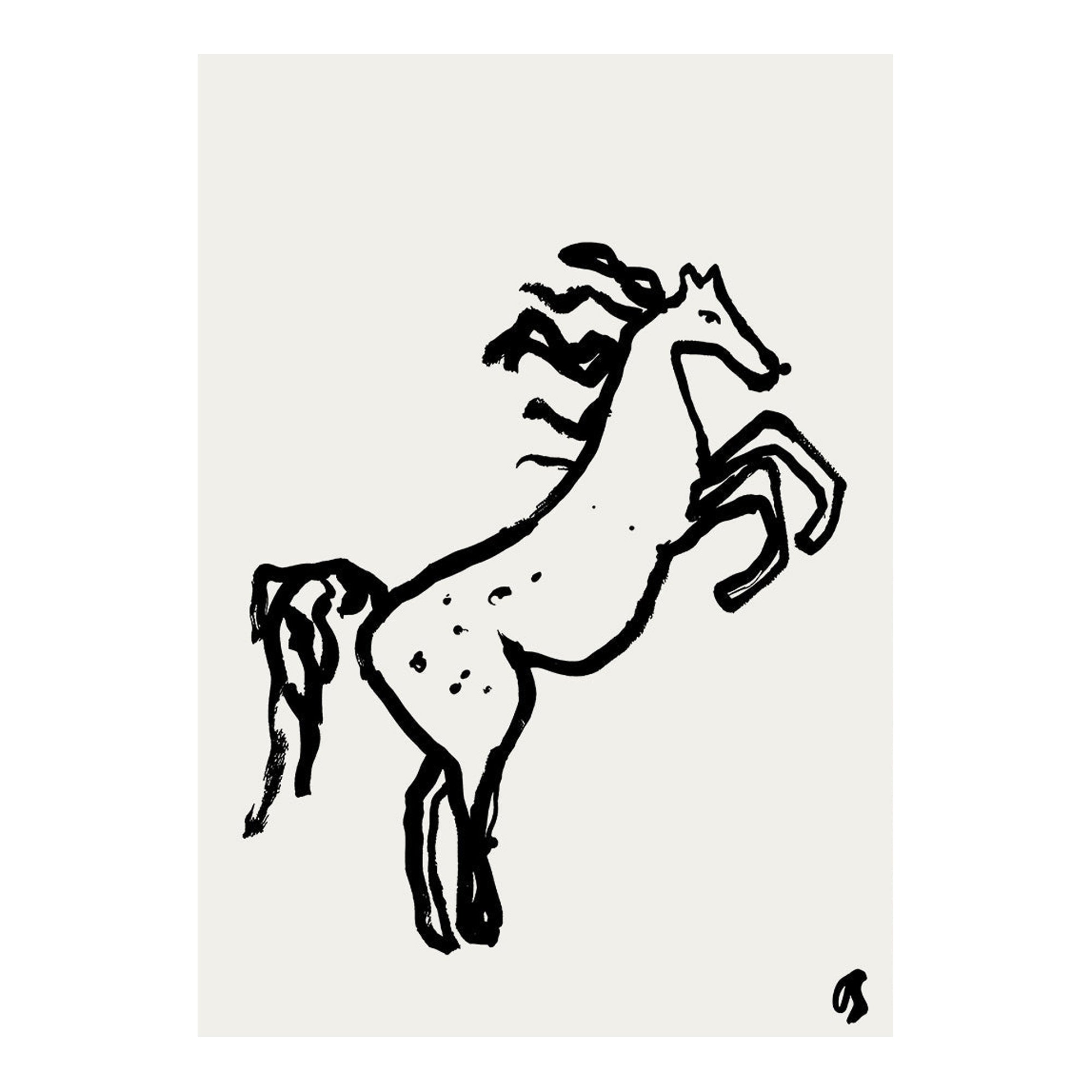 Wild Horse