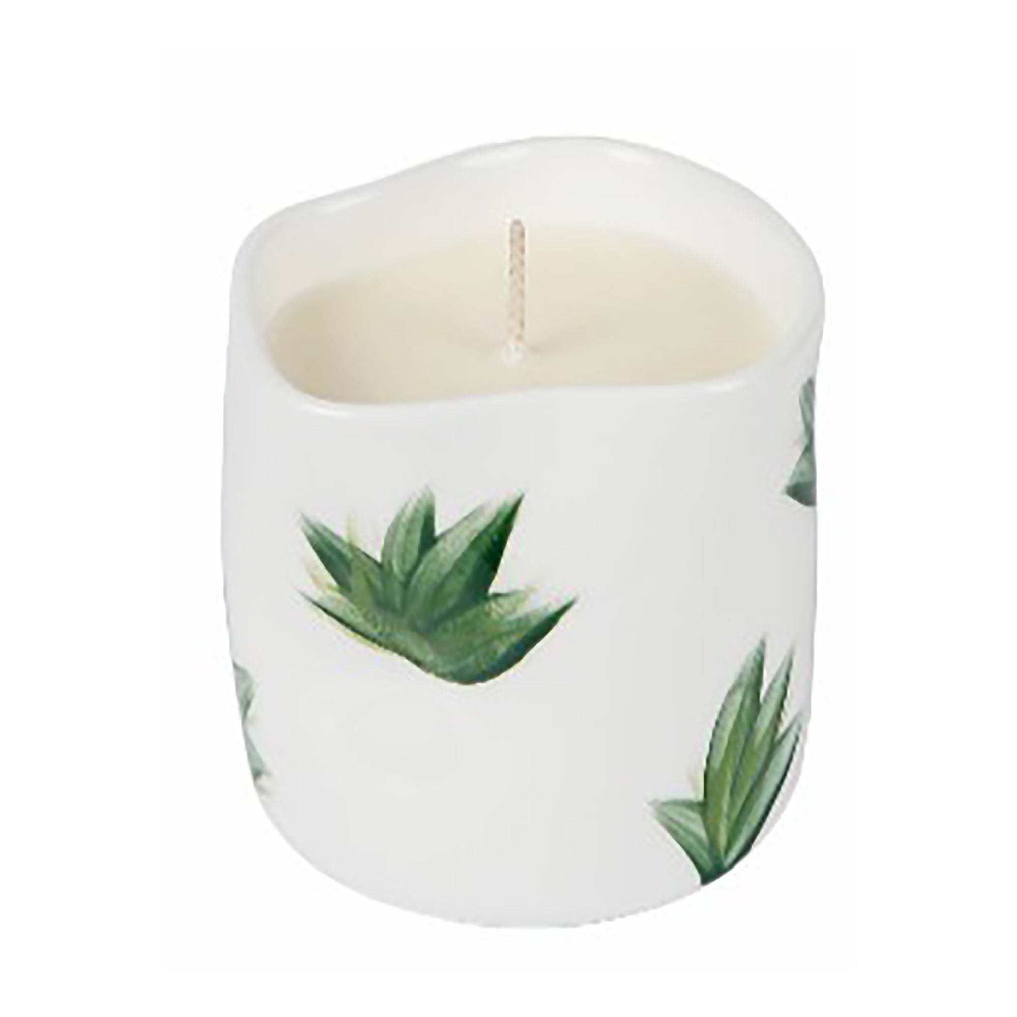 Plants candle