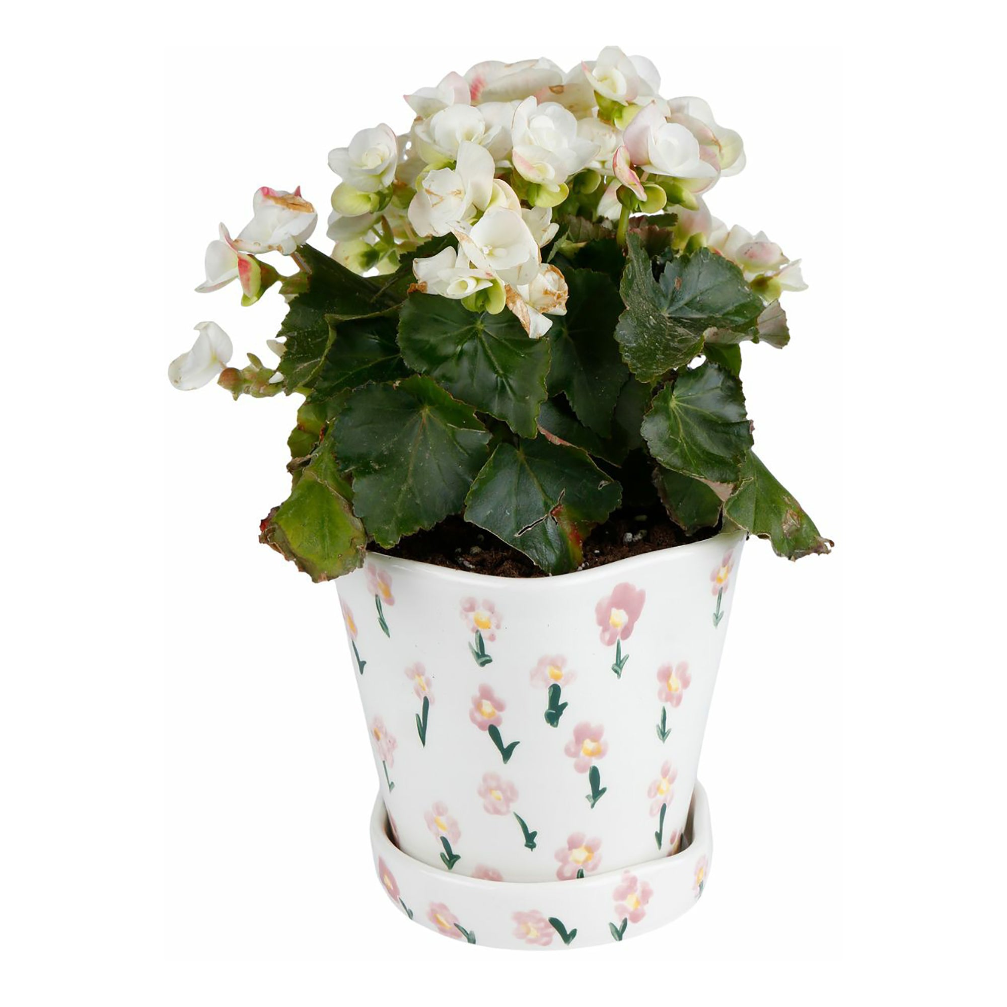 Prairie Planter