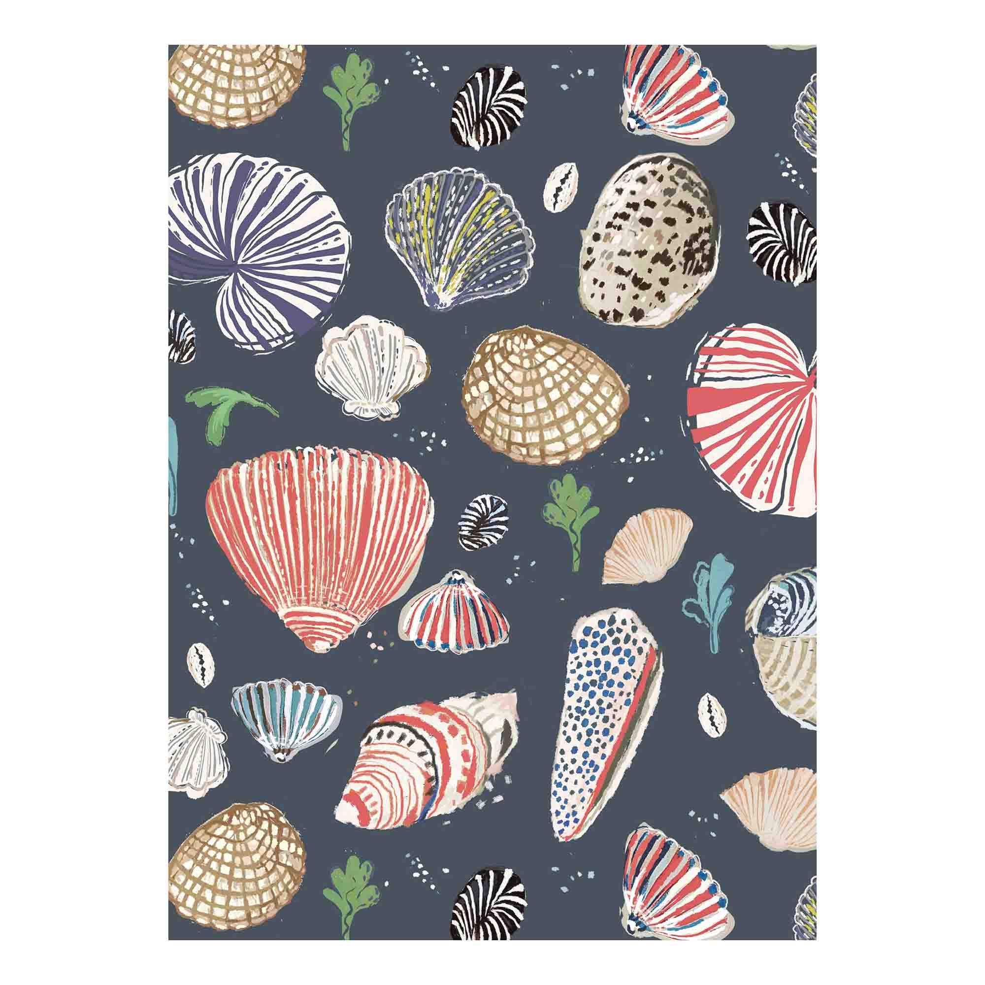 Little Nautilus Wallpaper - NAVY