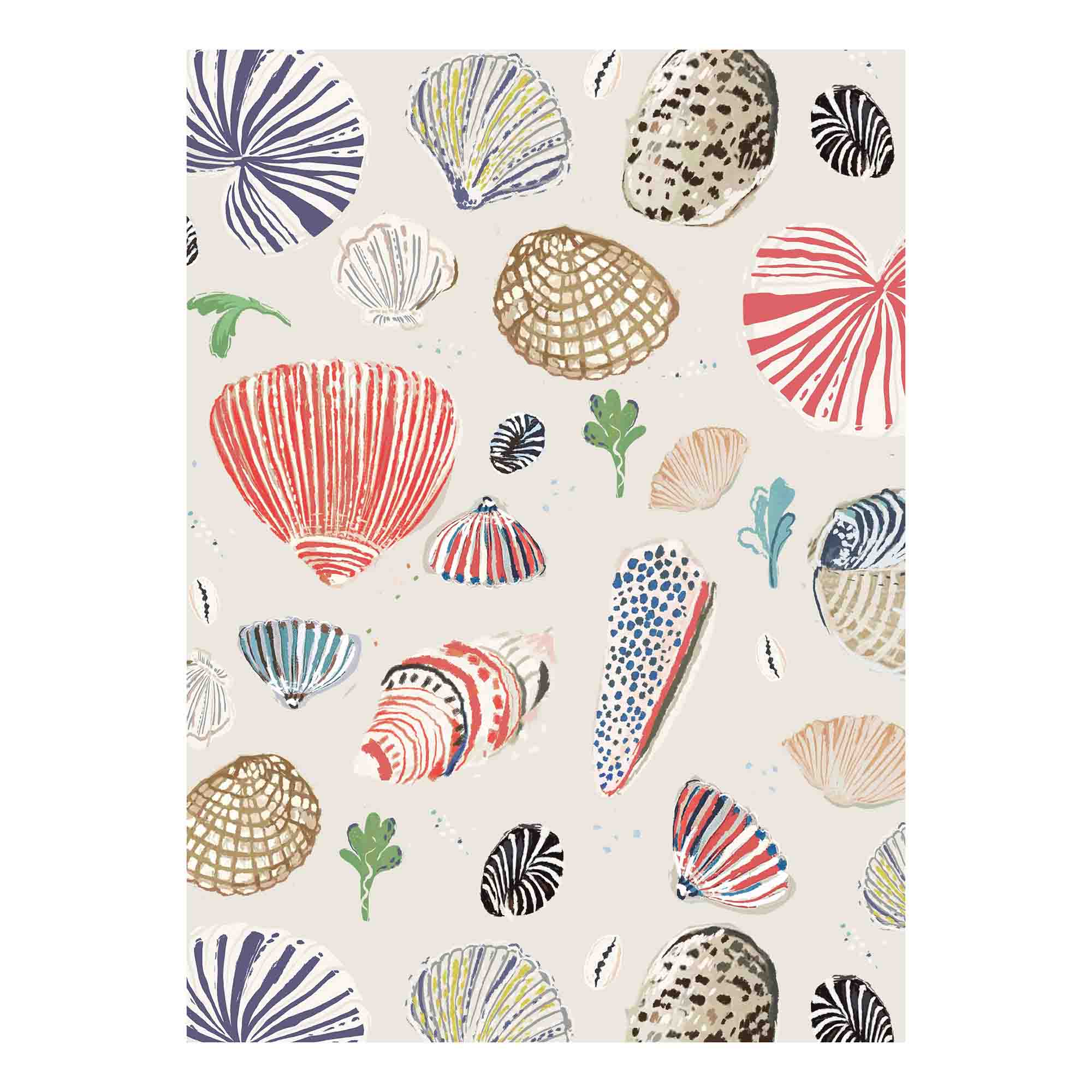 Little Nautilus Wallpaper - SAND