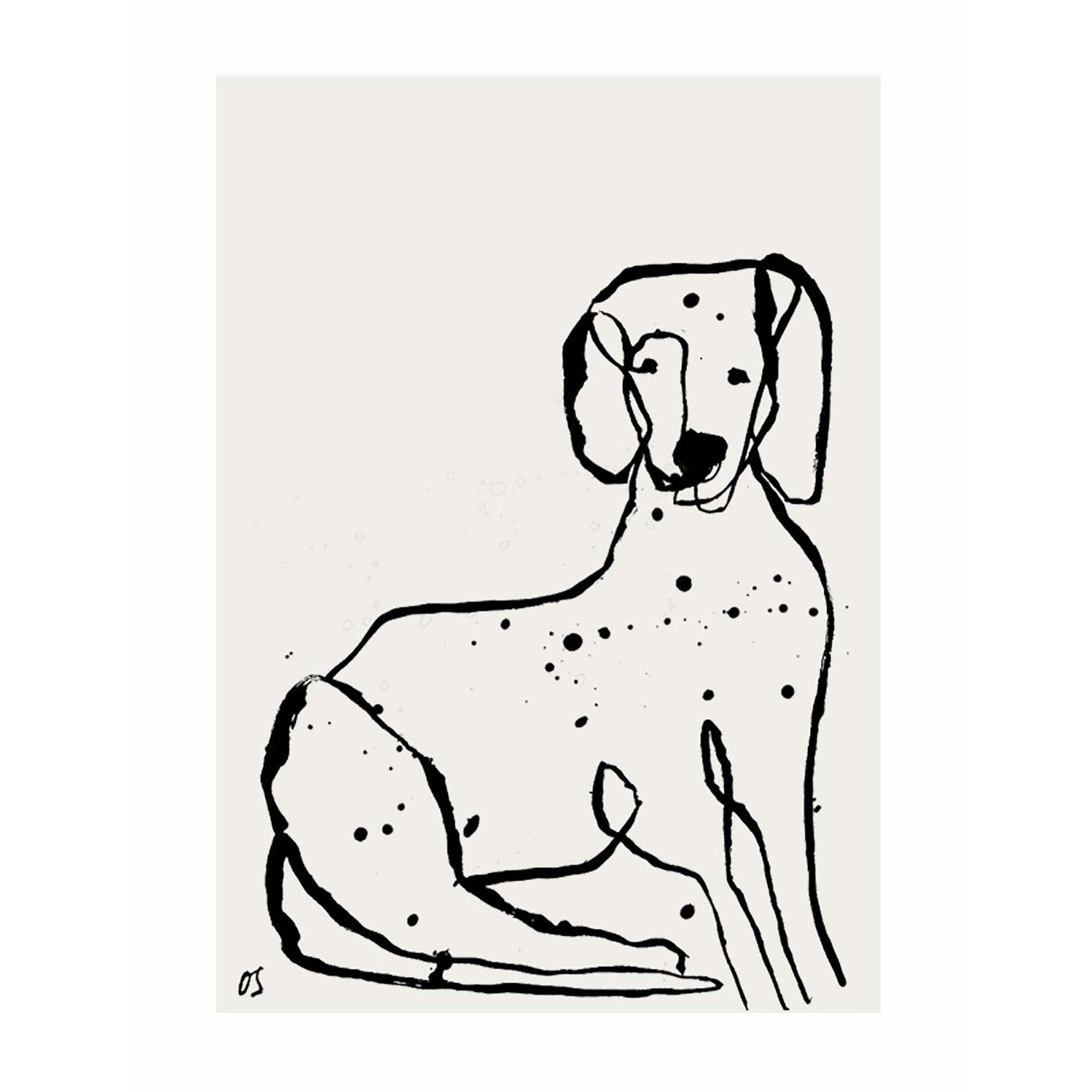 The Dalmatian