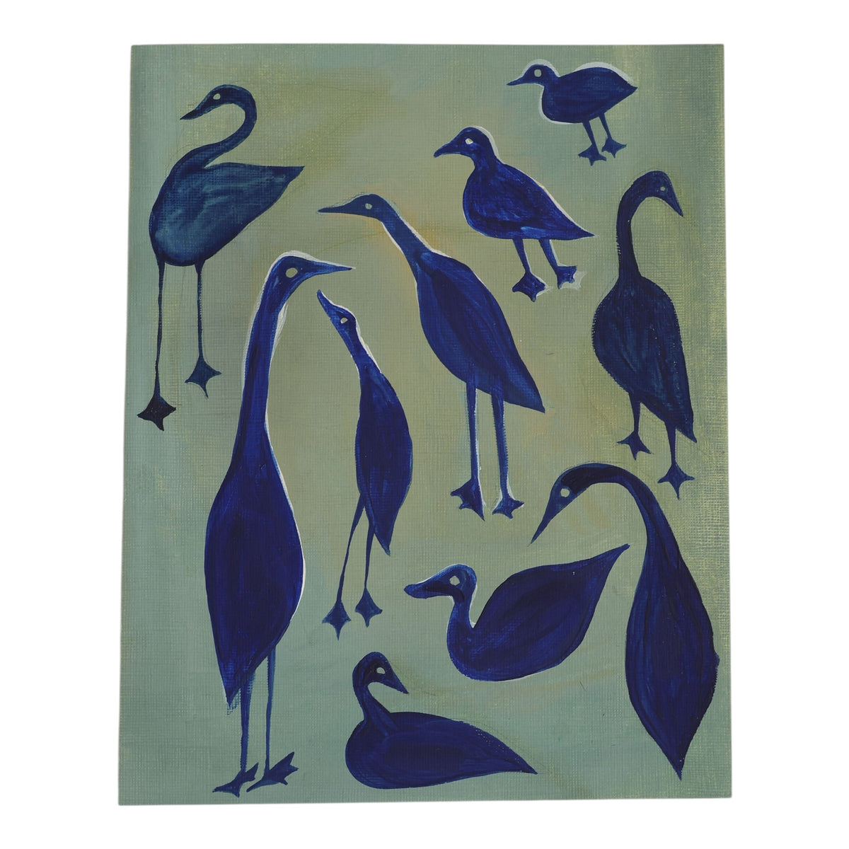 Blue Ducks