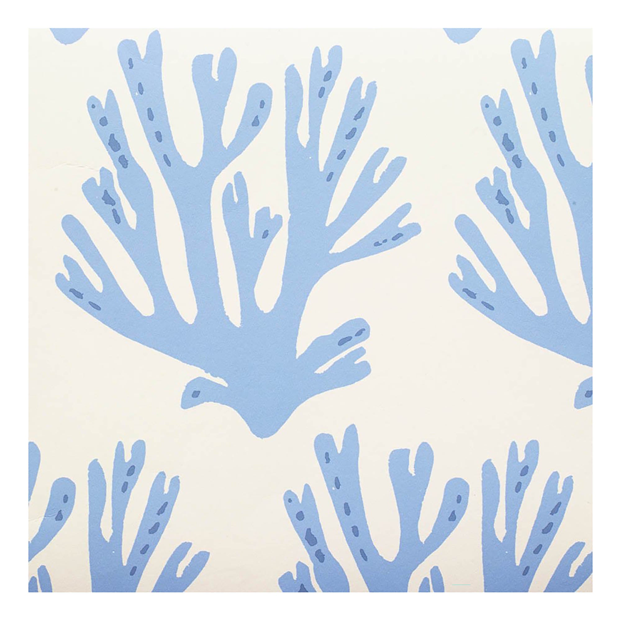 Coral Wallpaper Blue