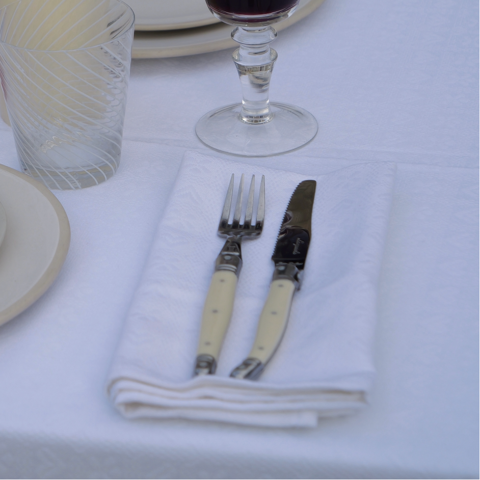 White Alpine Chalet Cotton Gingham Napkin | Set of 4