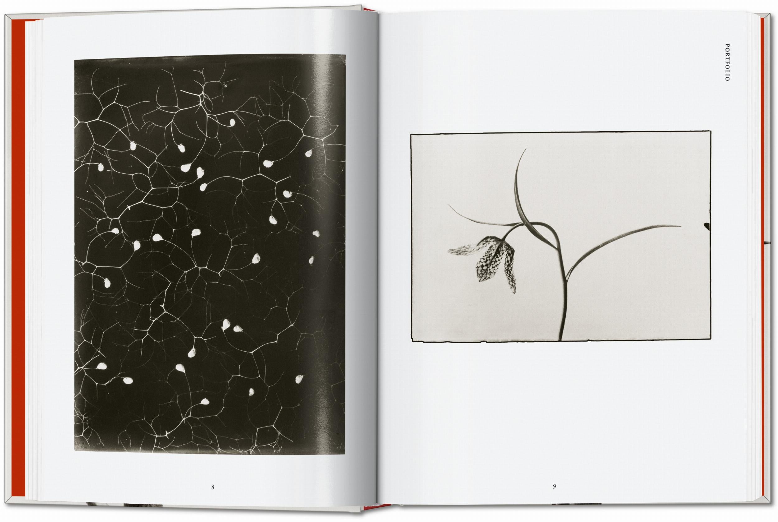 Karl Blossfeldt. The Complete Published Work. 45th Ed. (German, French, English)