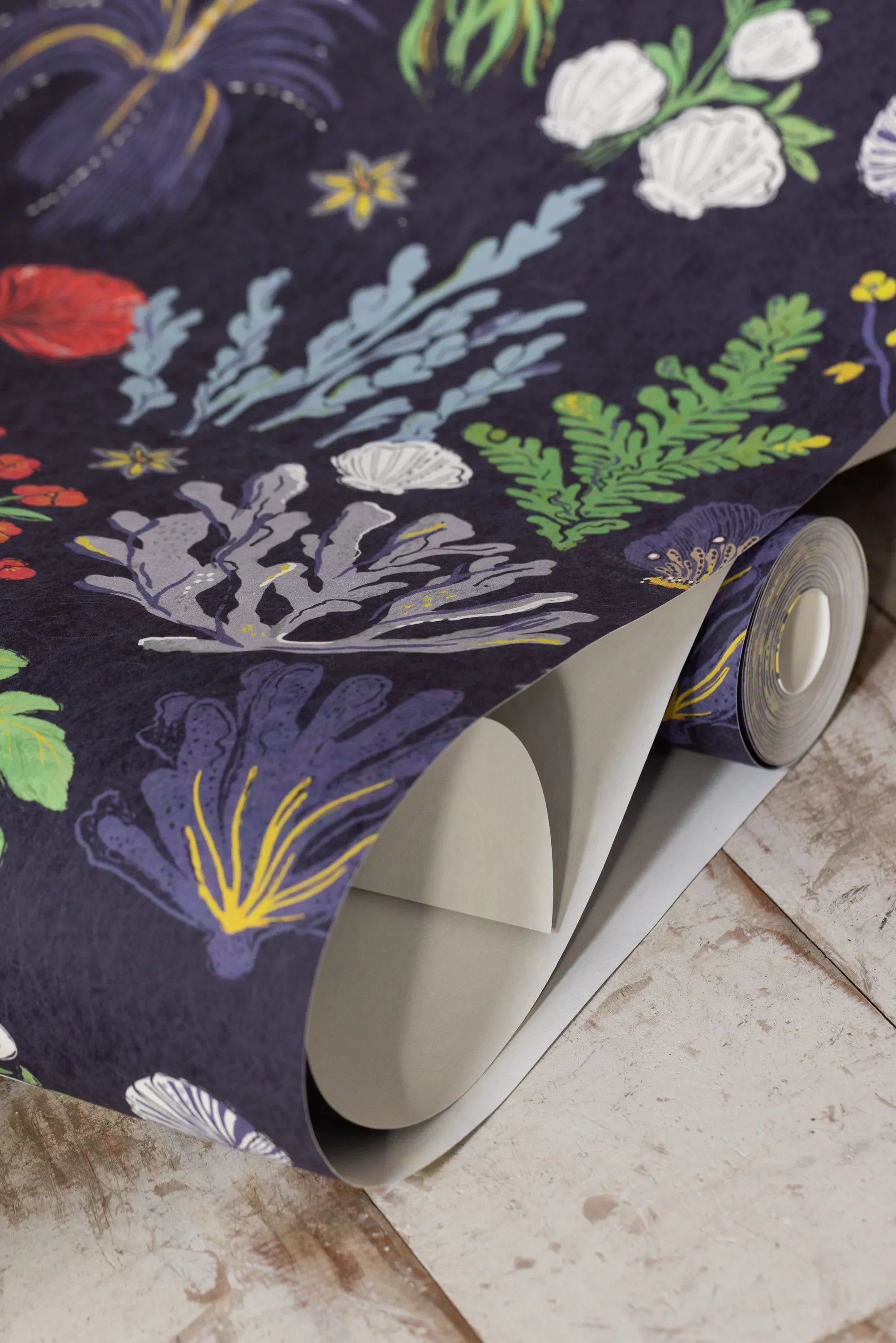 Aster and Cockle Wallpaper - NAVY