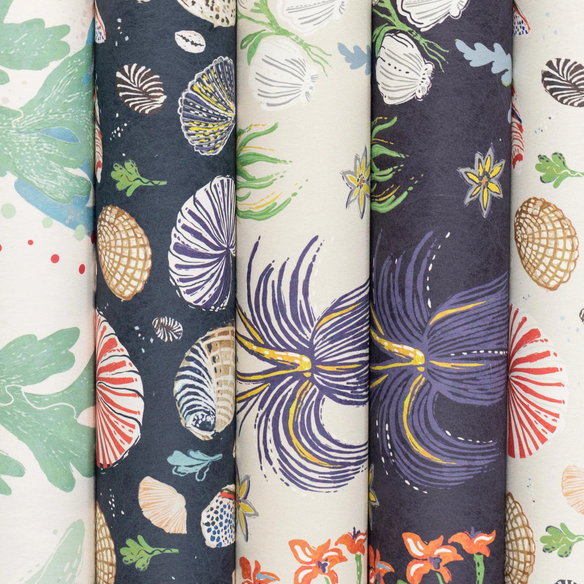 Aster and Cockle Wallpaper | Sand
