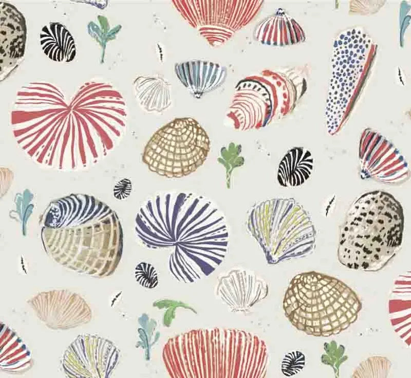Little Nautilus Fabric - Sand