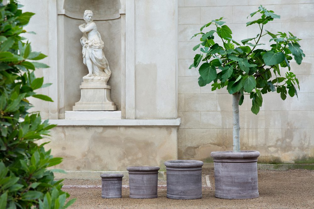 Cilantro Terracotta Pots