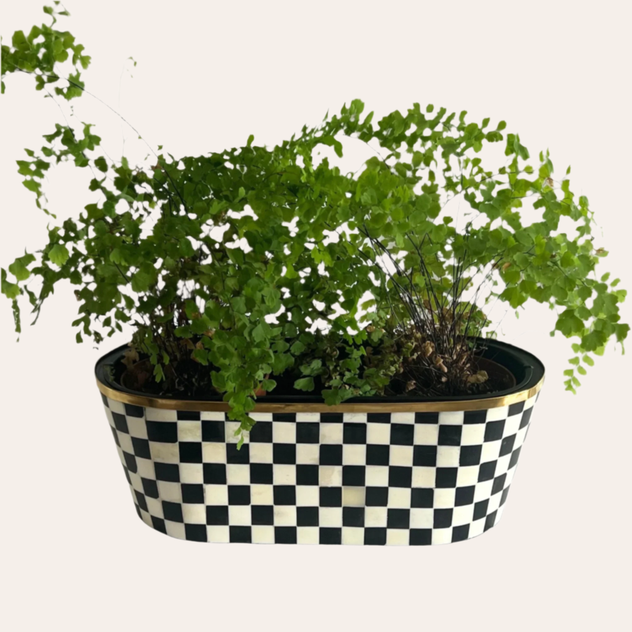 Oblong Inlay Planter | Large | Black | Chequered