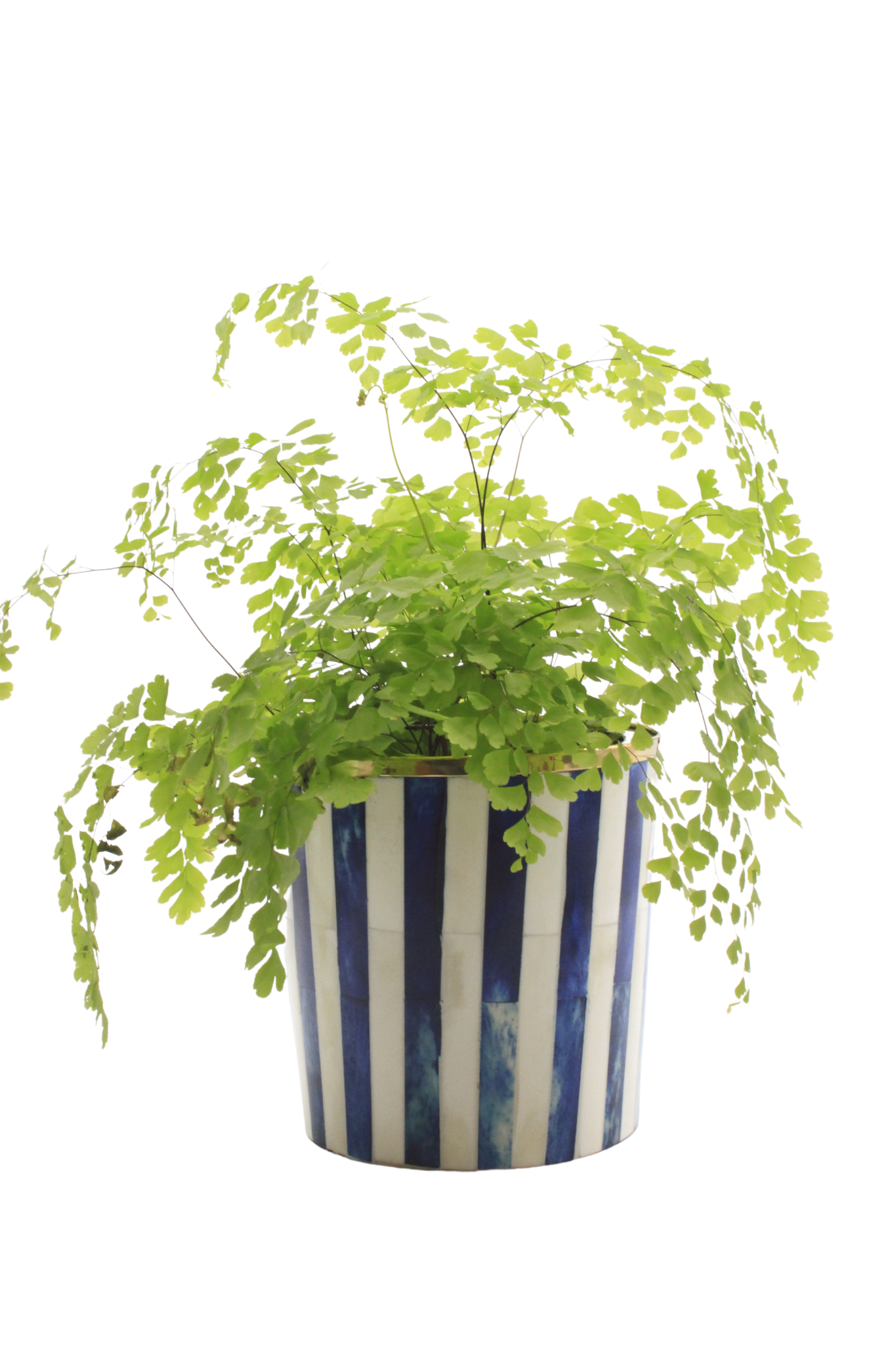 Round Inlay Planter | Medium | Blue | Striped