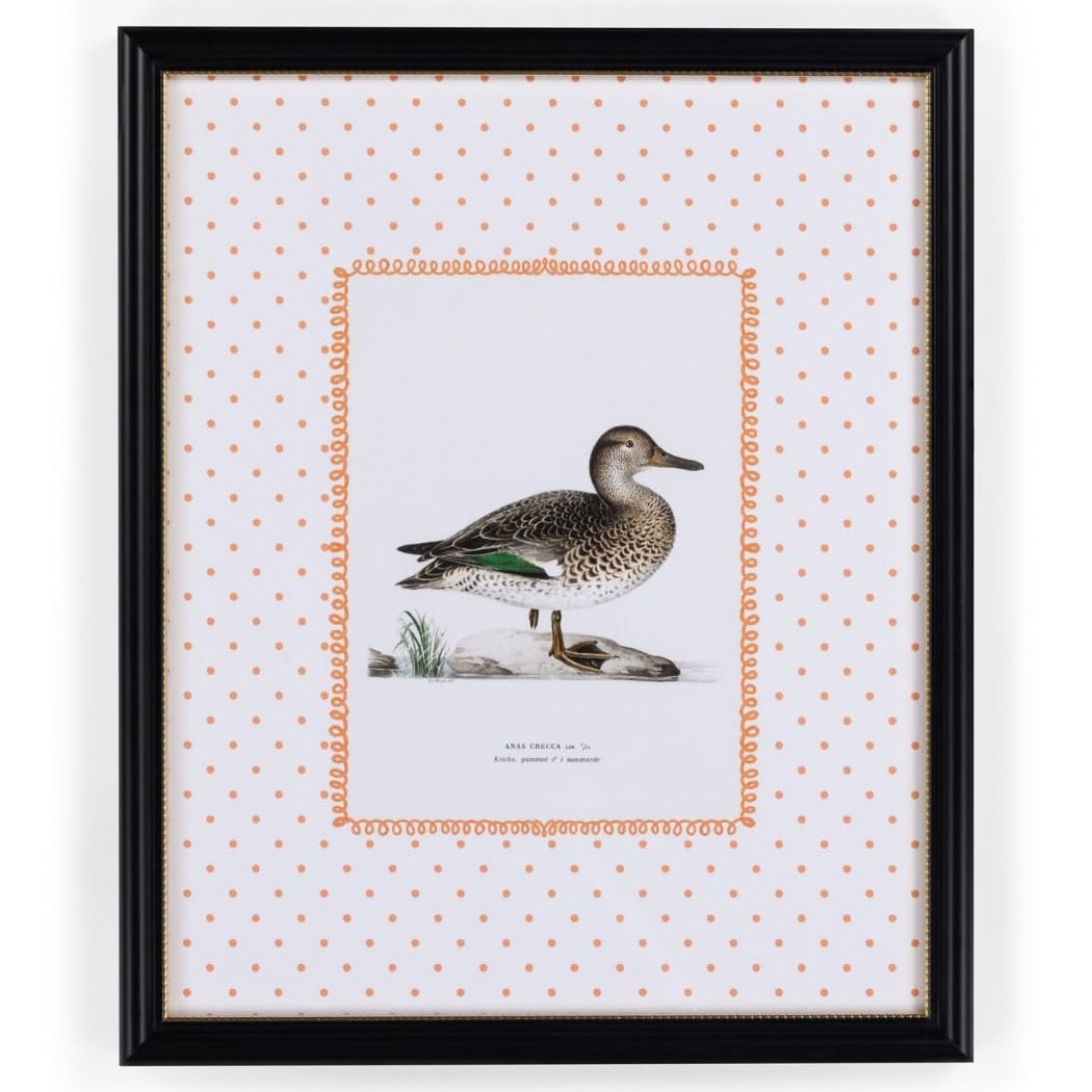 Duck II Framed Print