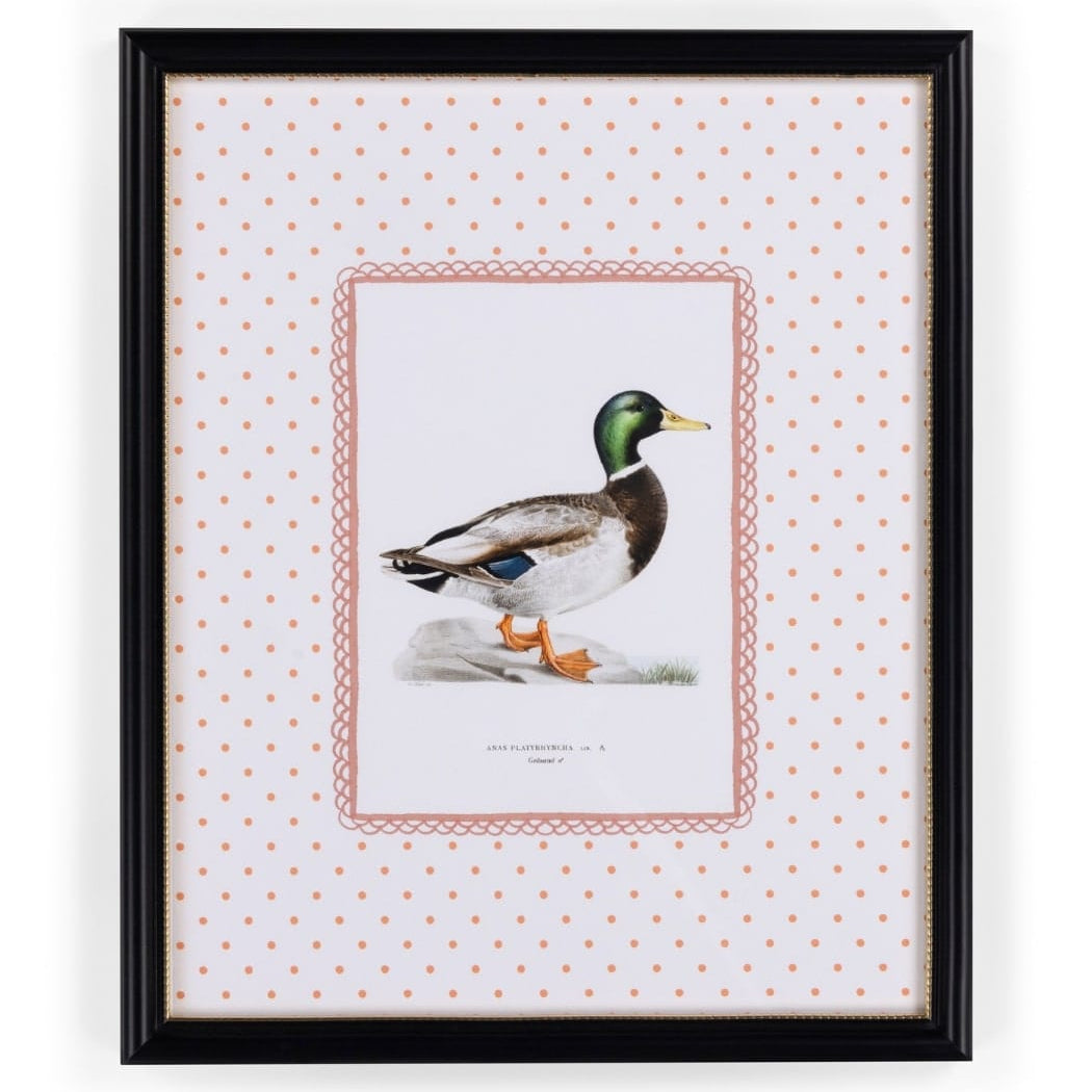 Duck III Vintage-Style Framed Print