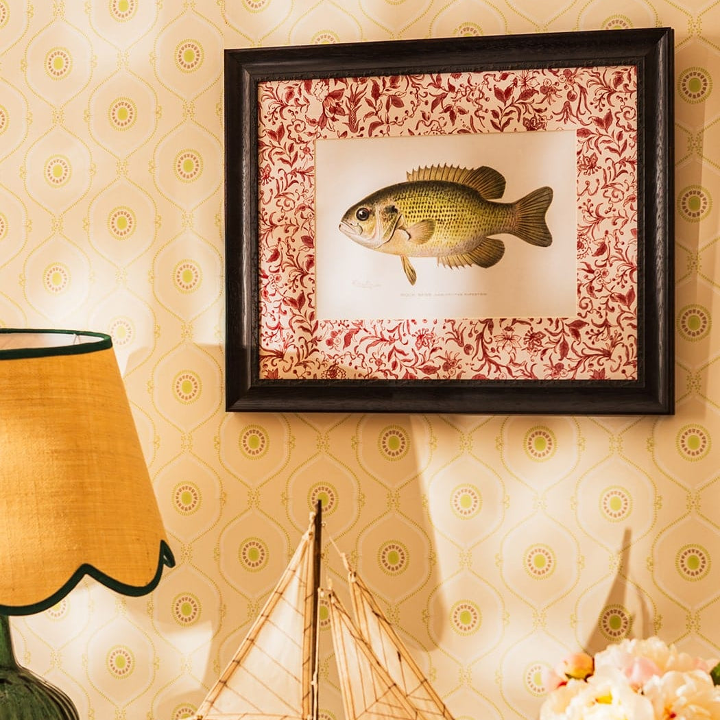 Fish IV Framed Print British, and Just a Bit Brilliant