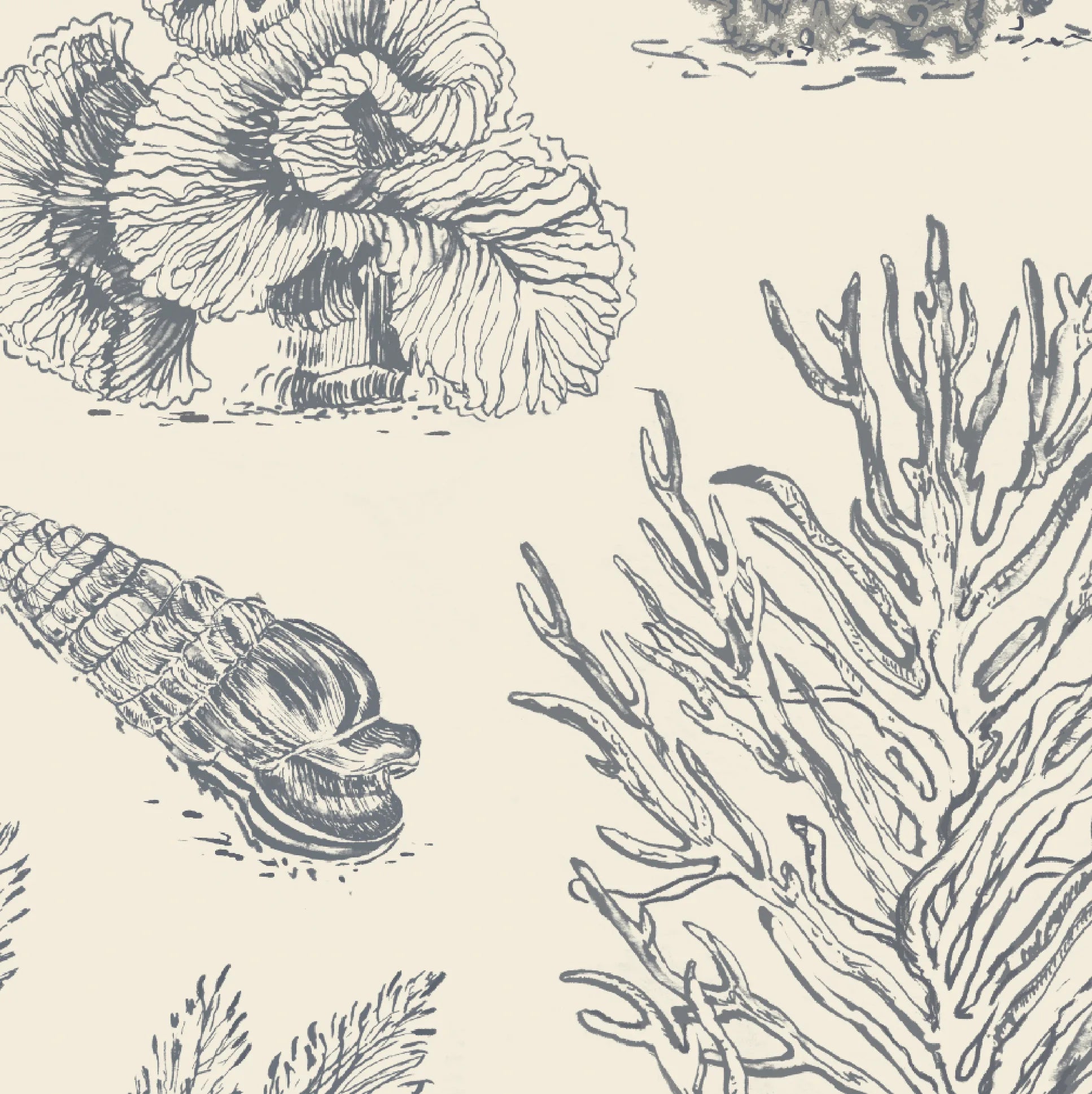 Coral Etchings Fabric - Charcoal