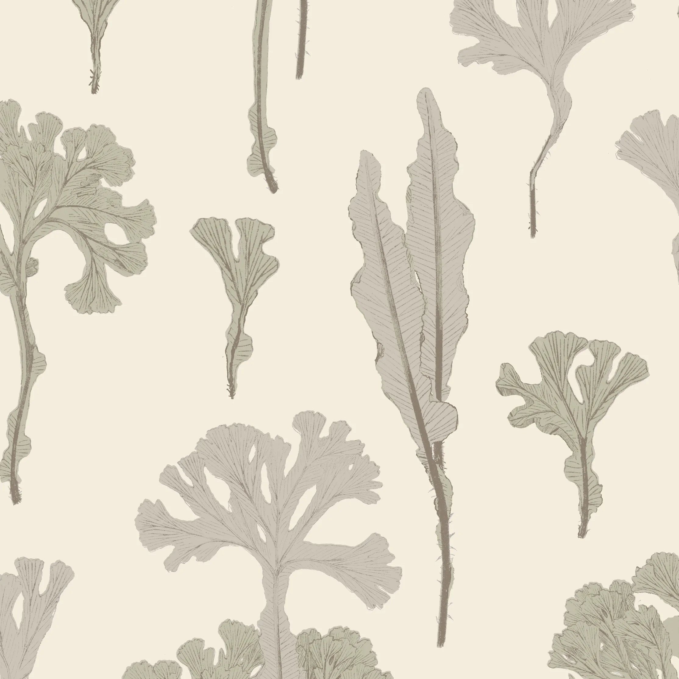 Sea Cabbage Wallpaper | Antique White