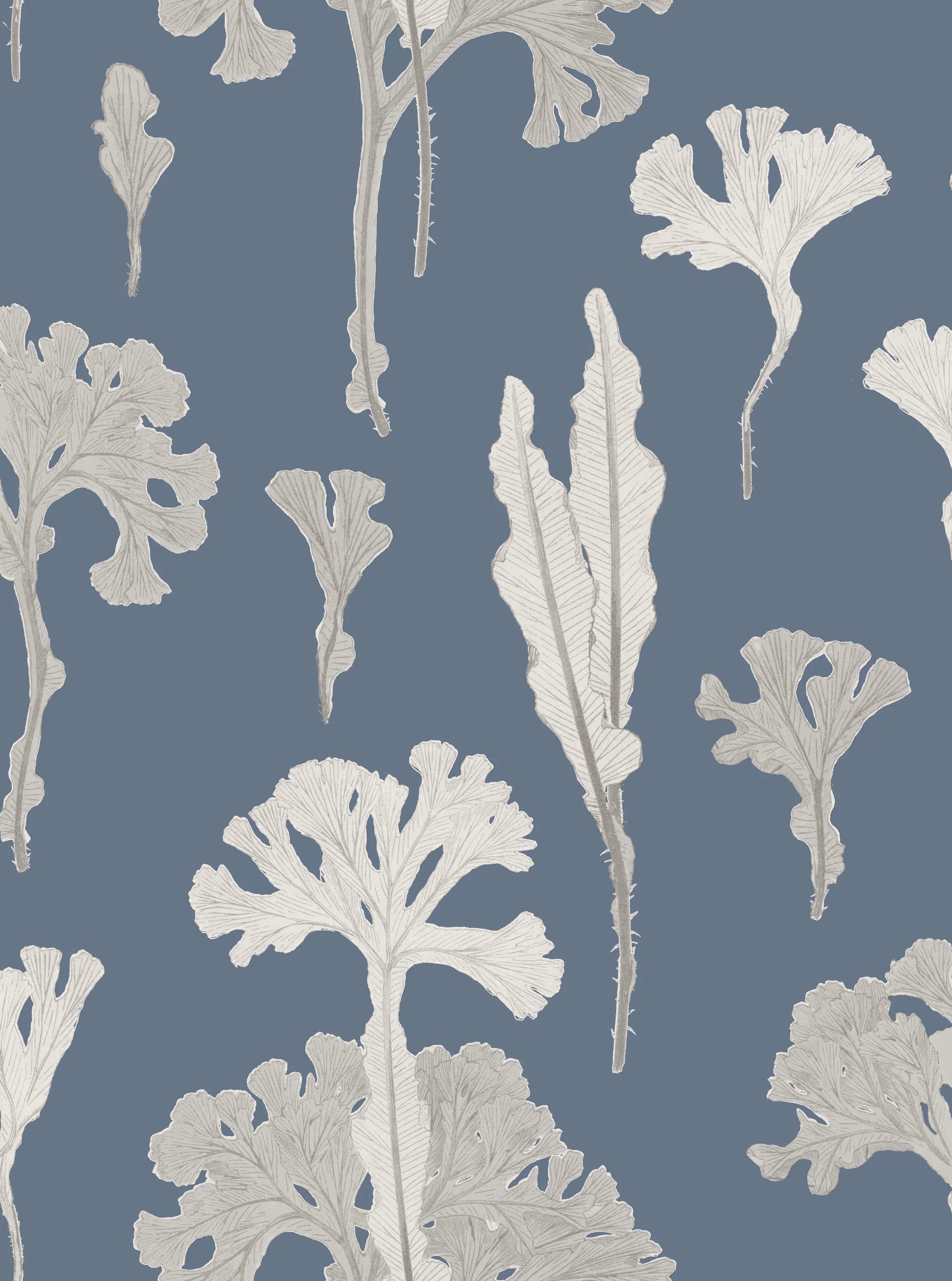 Sea Cabbage Wallpaper - NAVY