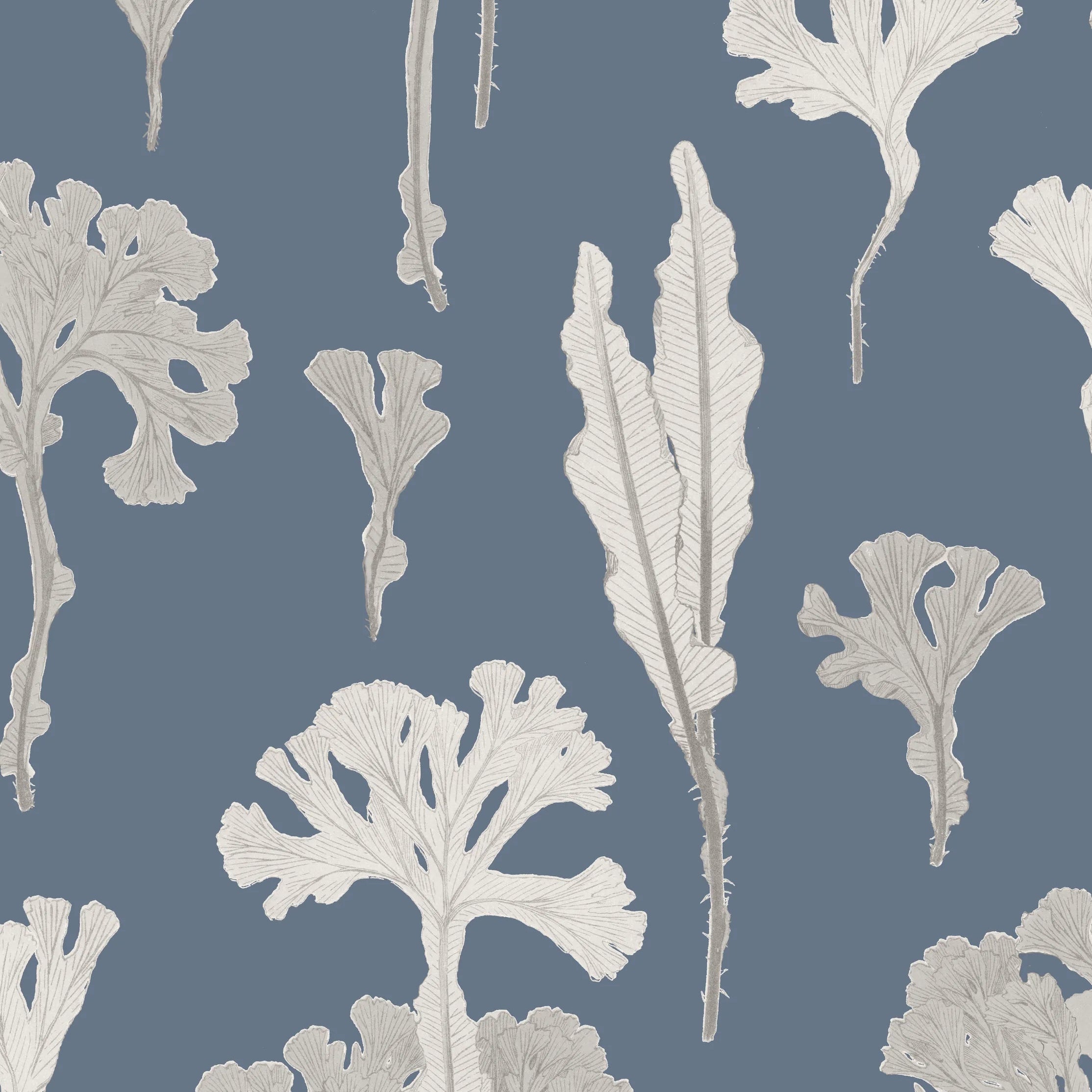 Sea Cabbage Wallpaper | Navy