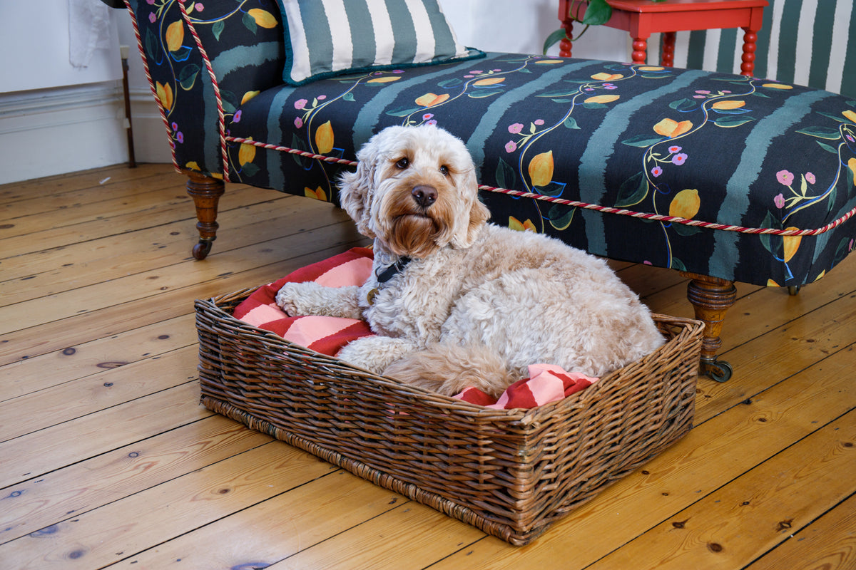 Vintage Dog / Cat pet basket with printed Colbalt stripe linen cushion