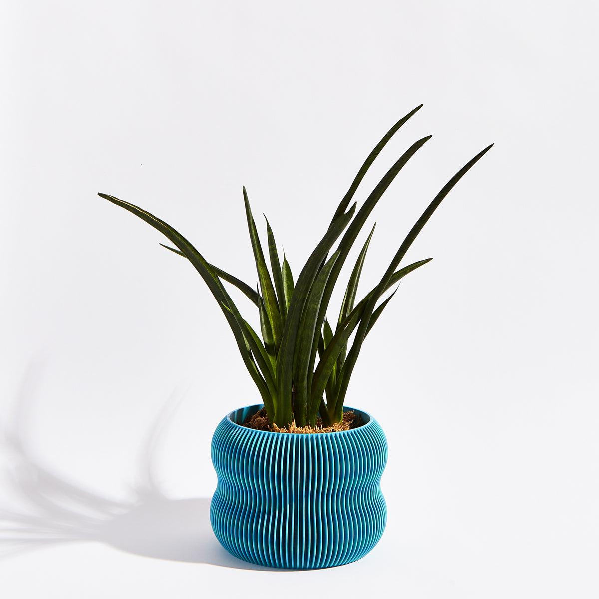 Bubble pot- Ocean blue