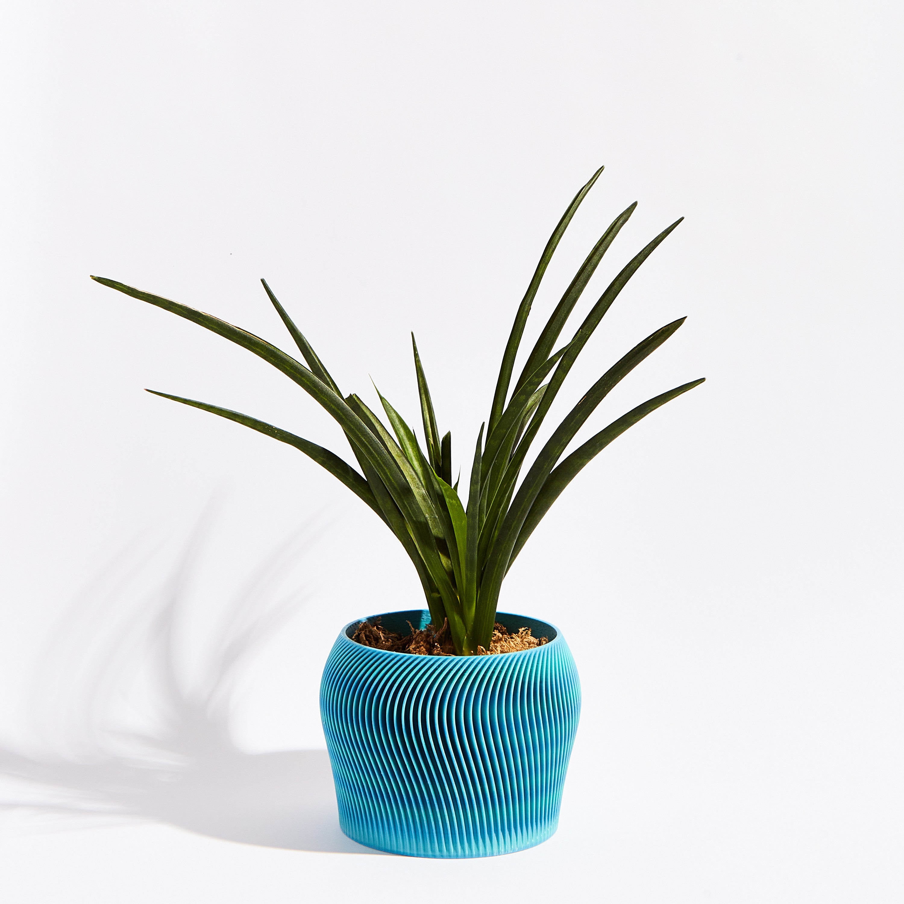 Orbital pot- Ocean blue