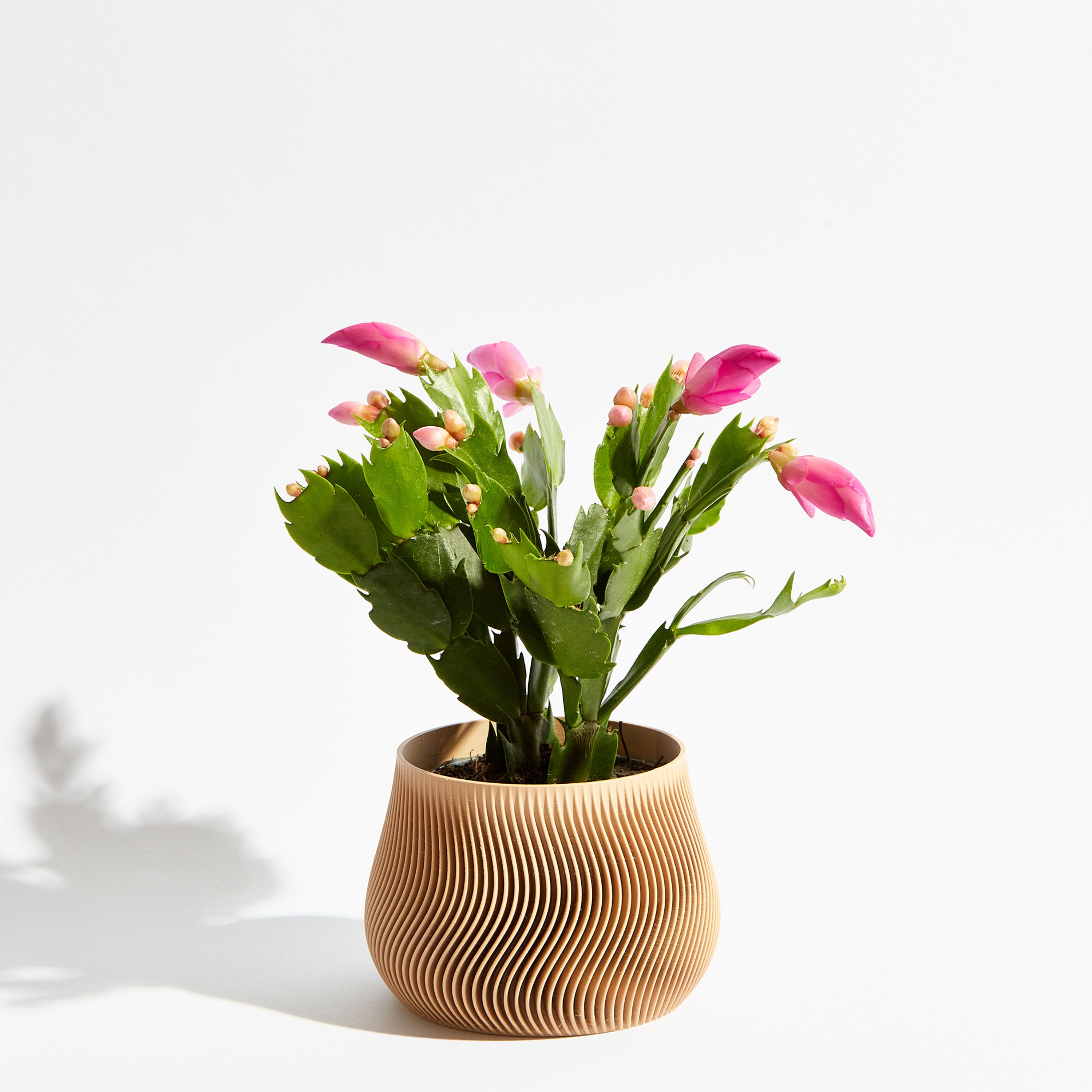 Groovy pot - Sand beige