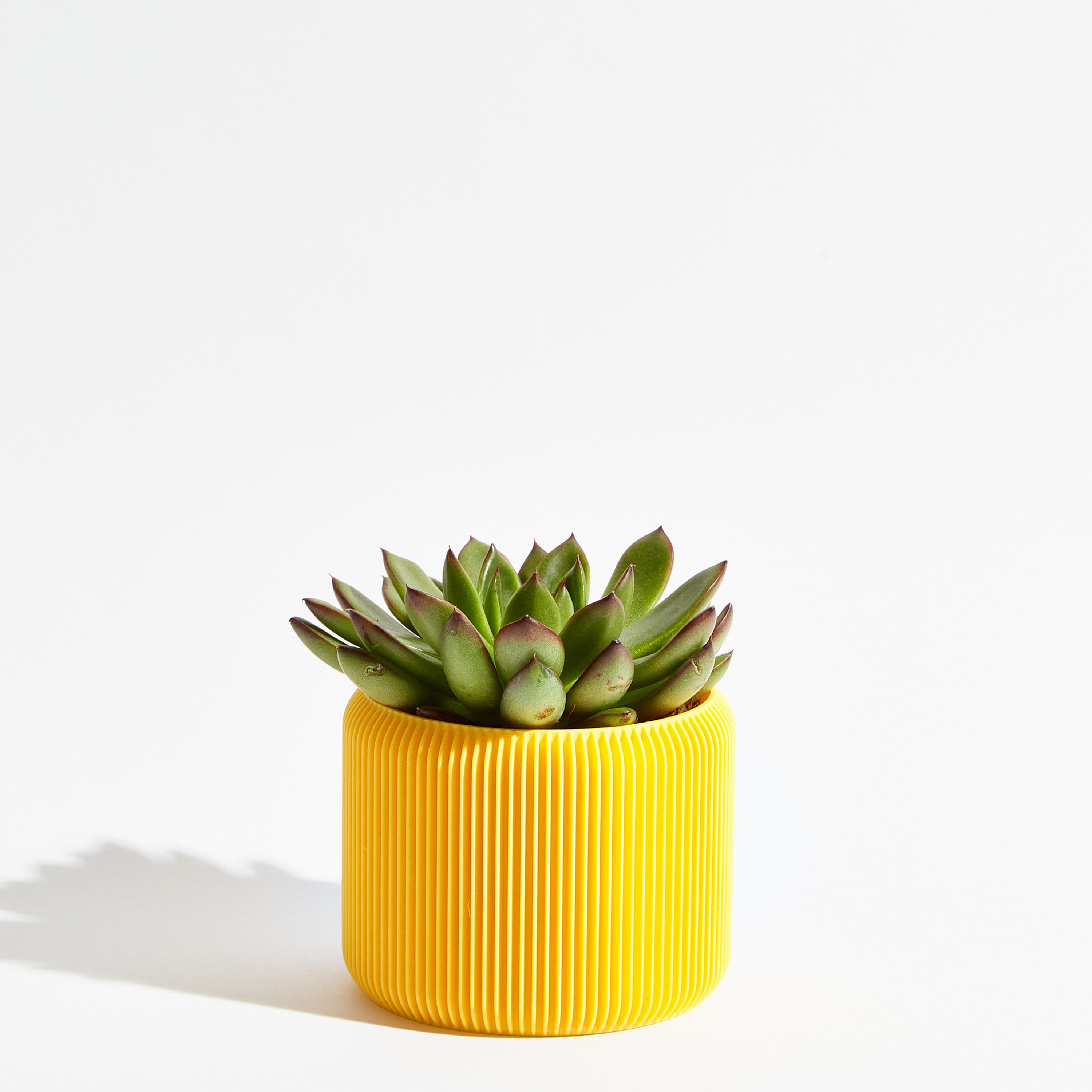 Turbin pot - Banana yellow