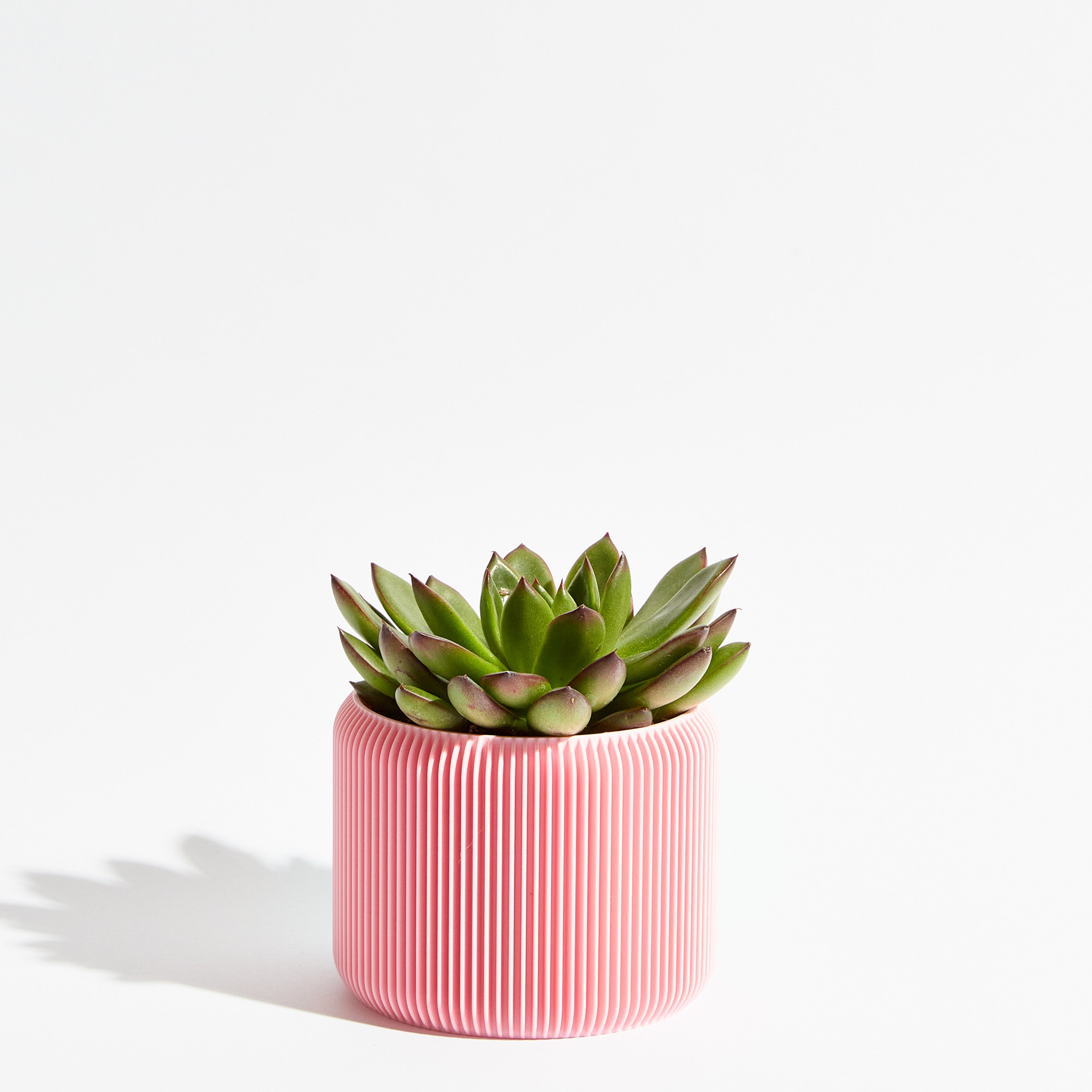 Turbin pot - Sakura pink