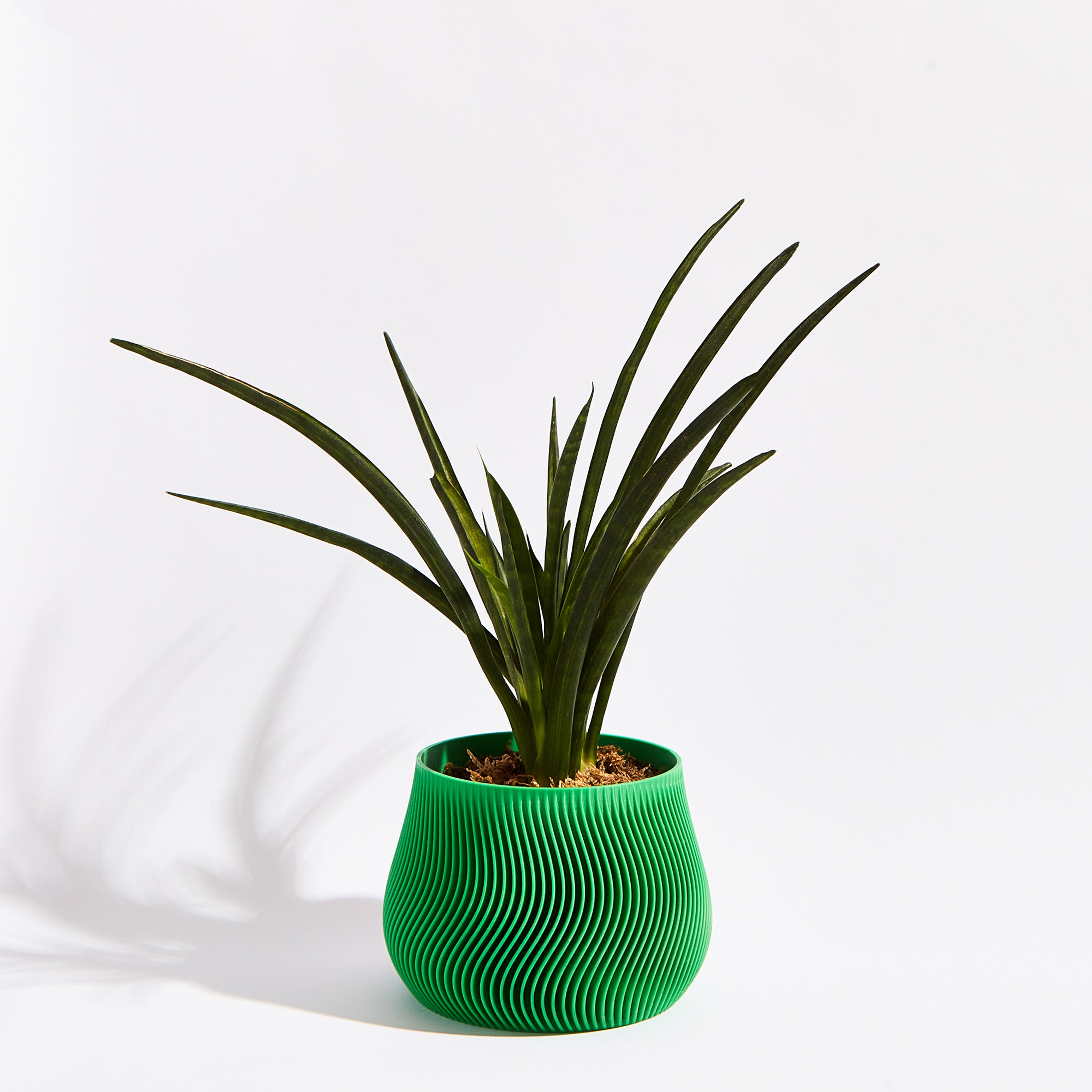 Groovy pot- Bamboo green