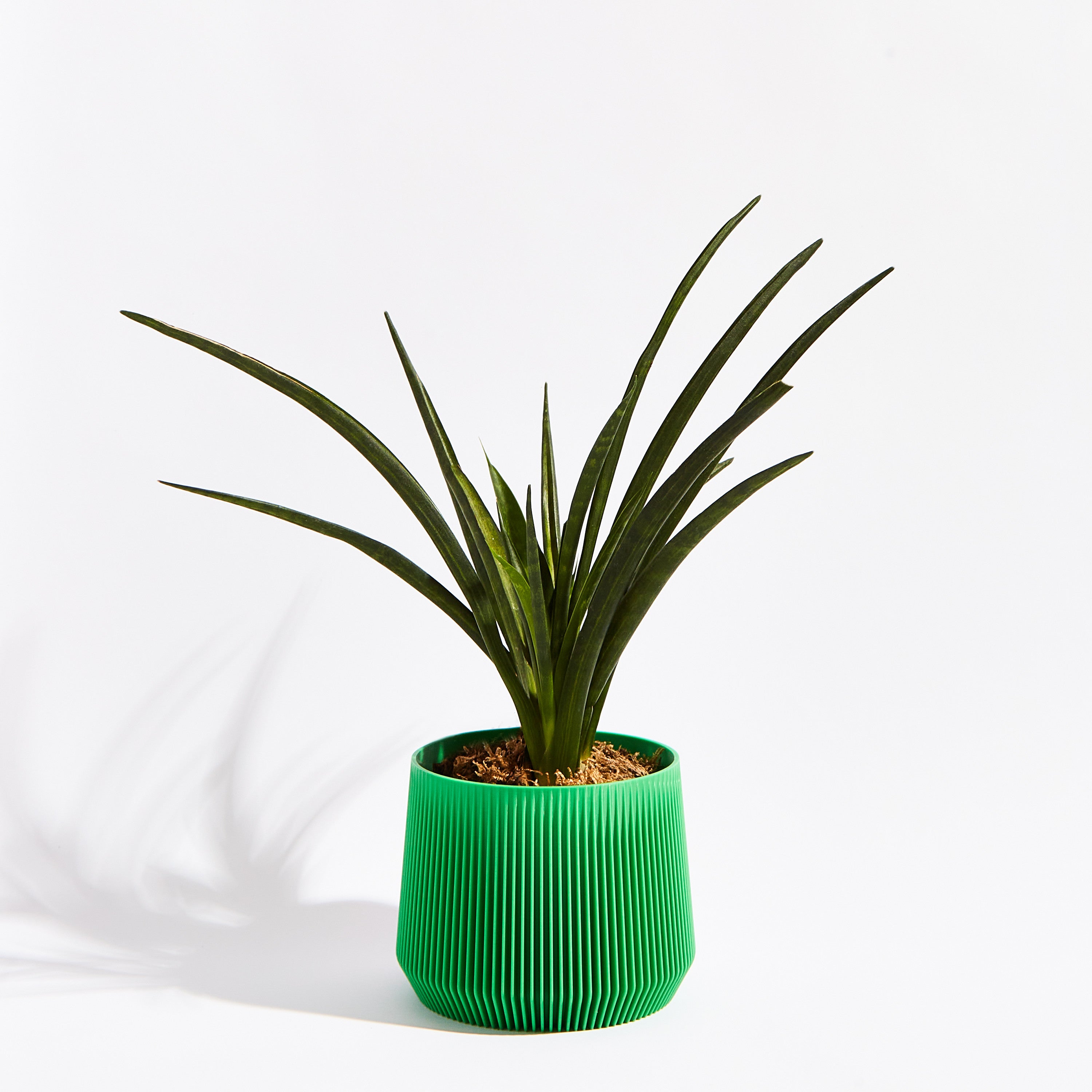 Pillar pot- Bamboo green