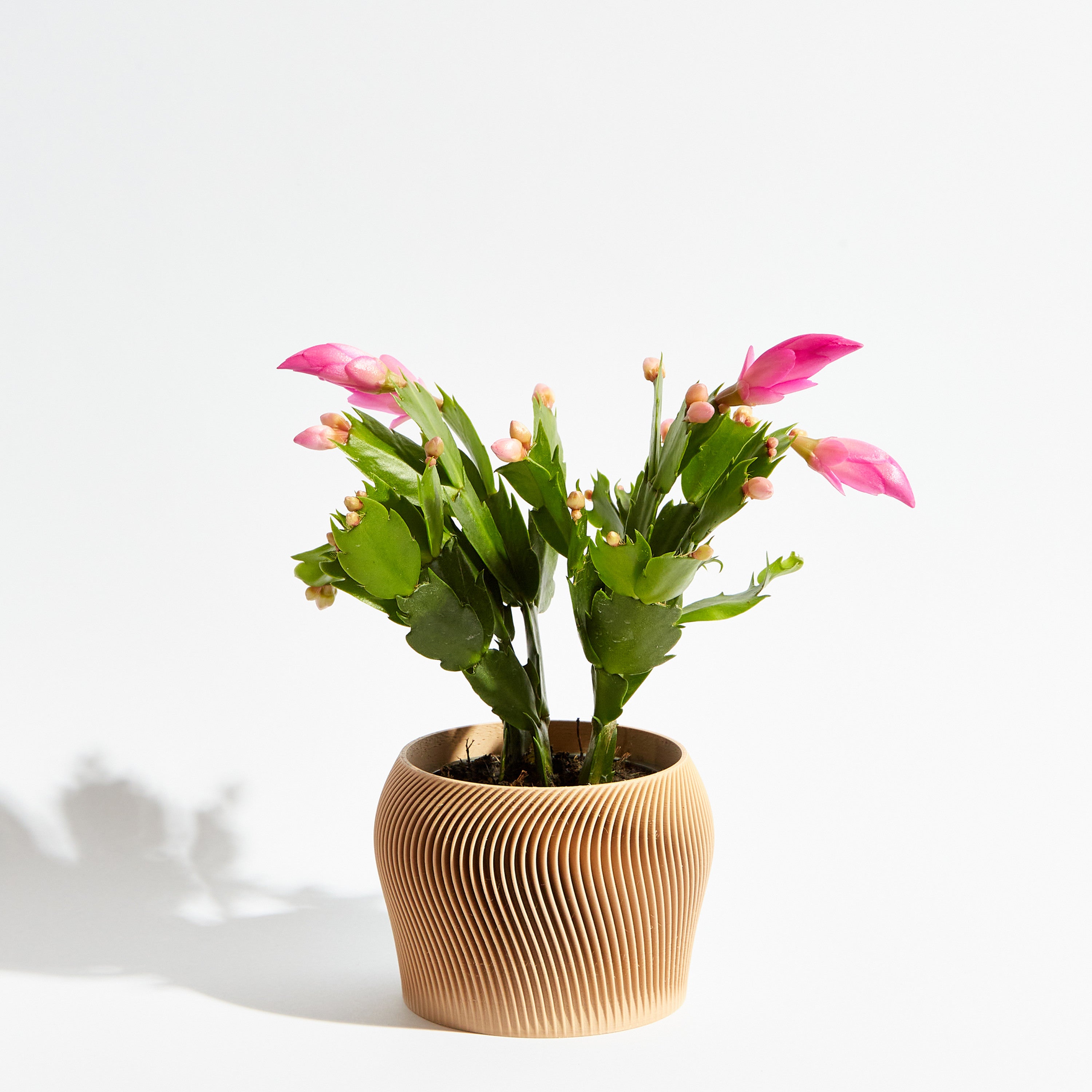 Orbital pot - Sand beige