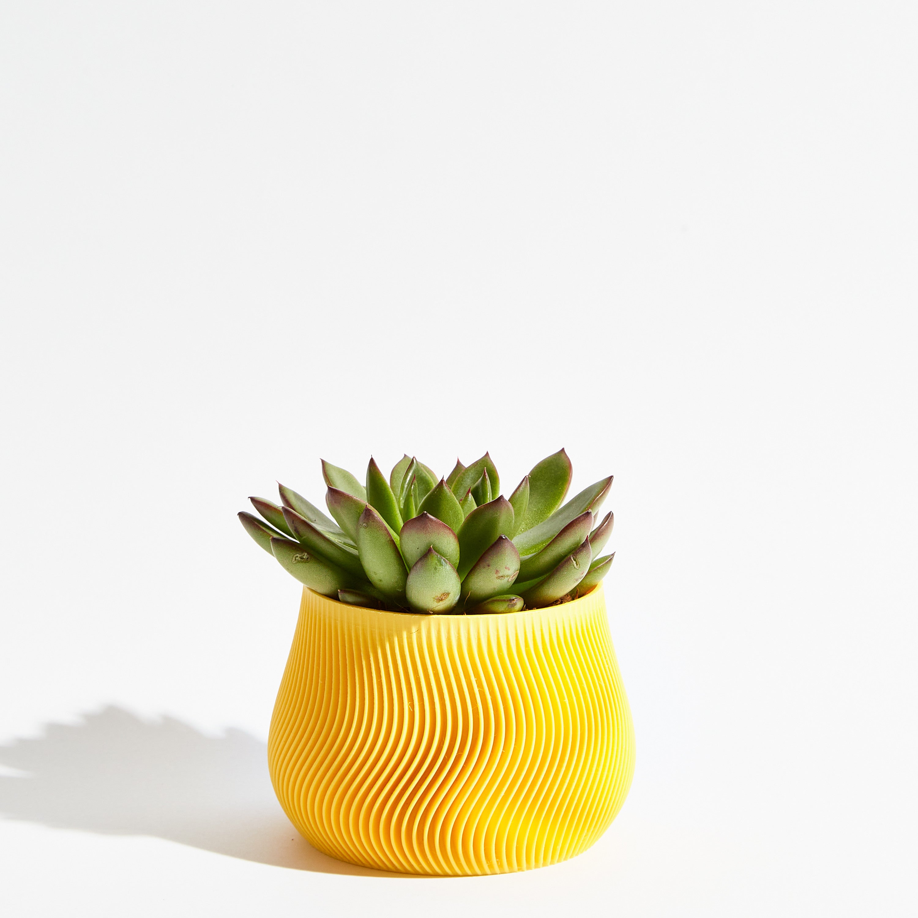 Groovy pot - Banana yellow