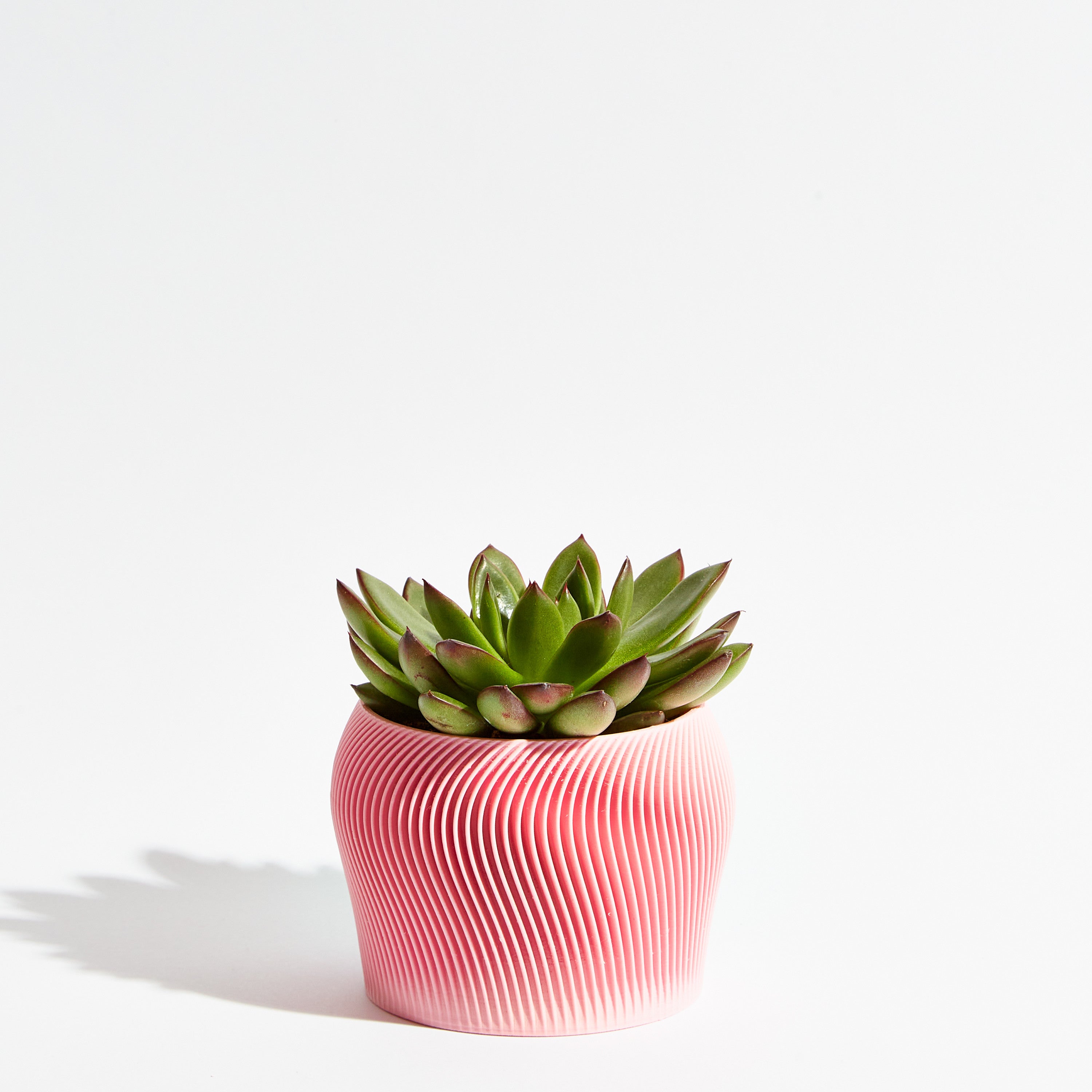 Orbital pot - Sakura pink